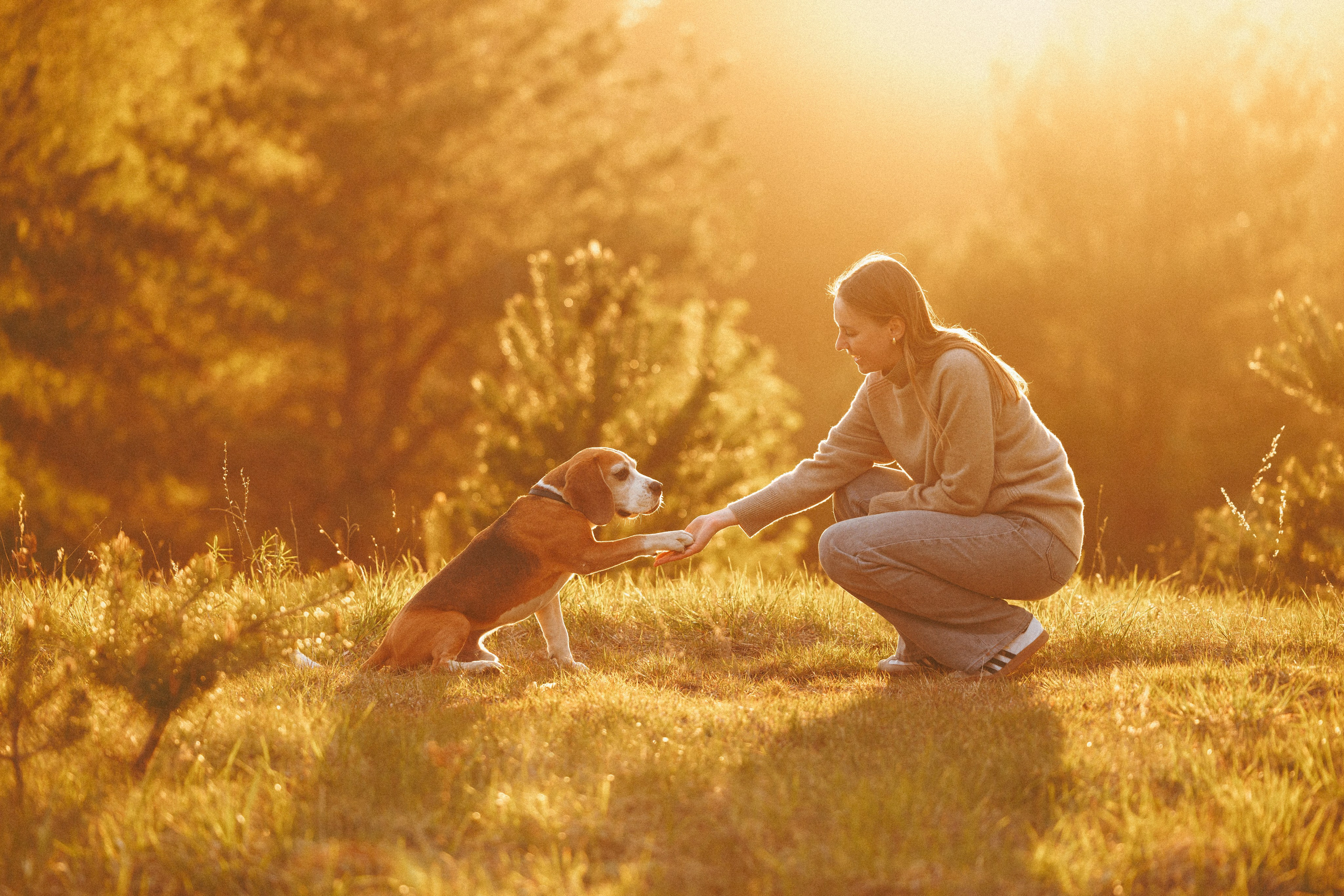 Юля и Зайфер. Фотограф анималист Осипчикова Мария