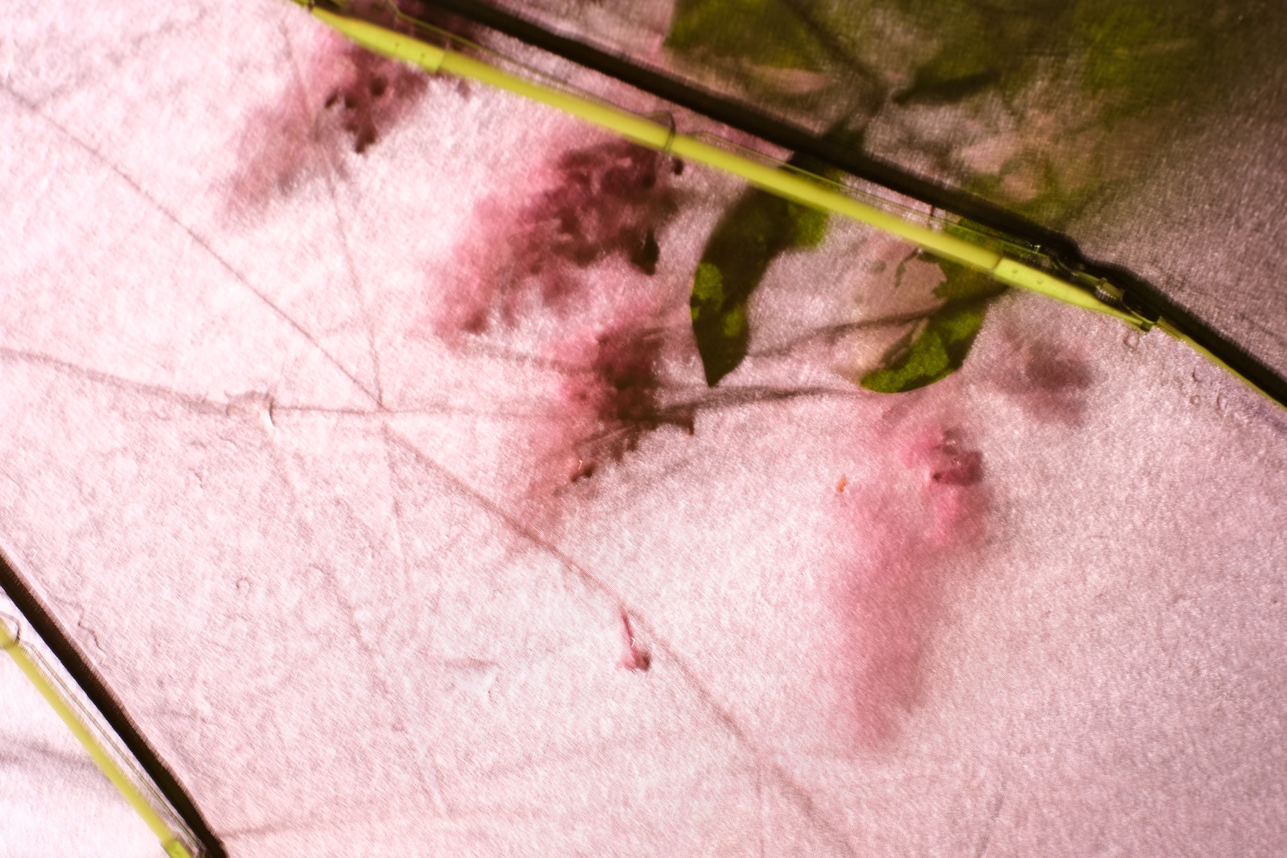 Цветочные принты. Фотограф Анна Чанаях