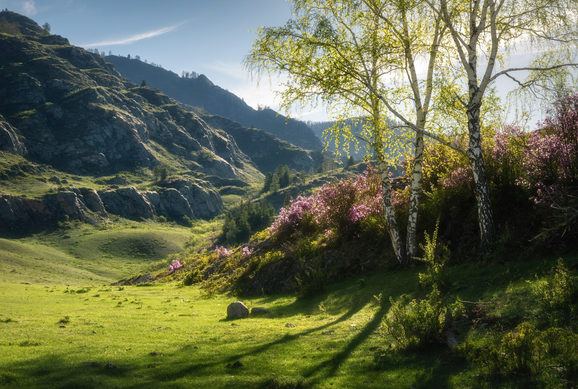 Тени весны. Республика Алтай, Онгудайский район, май 2024