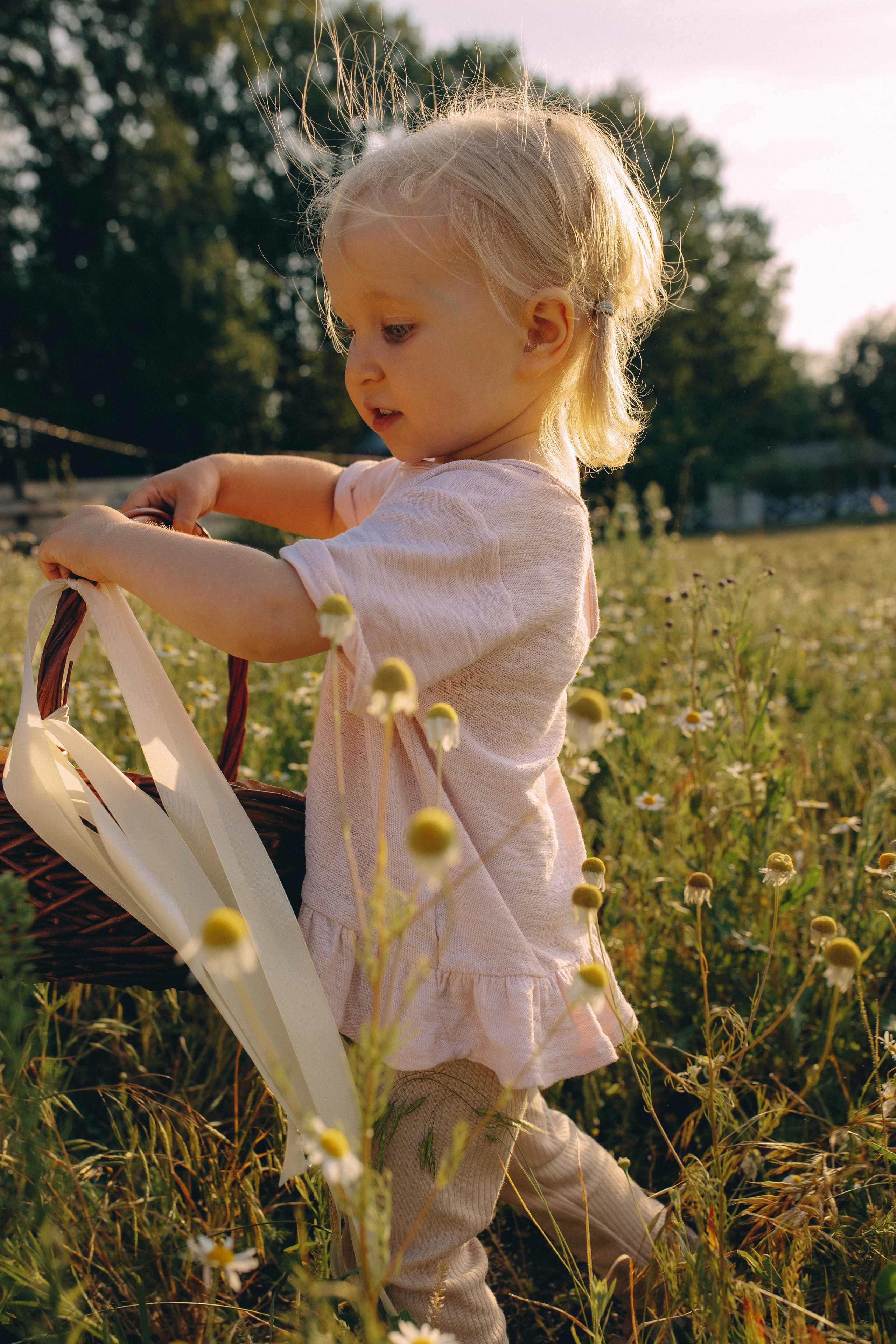 Фотопрогулка. Главная