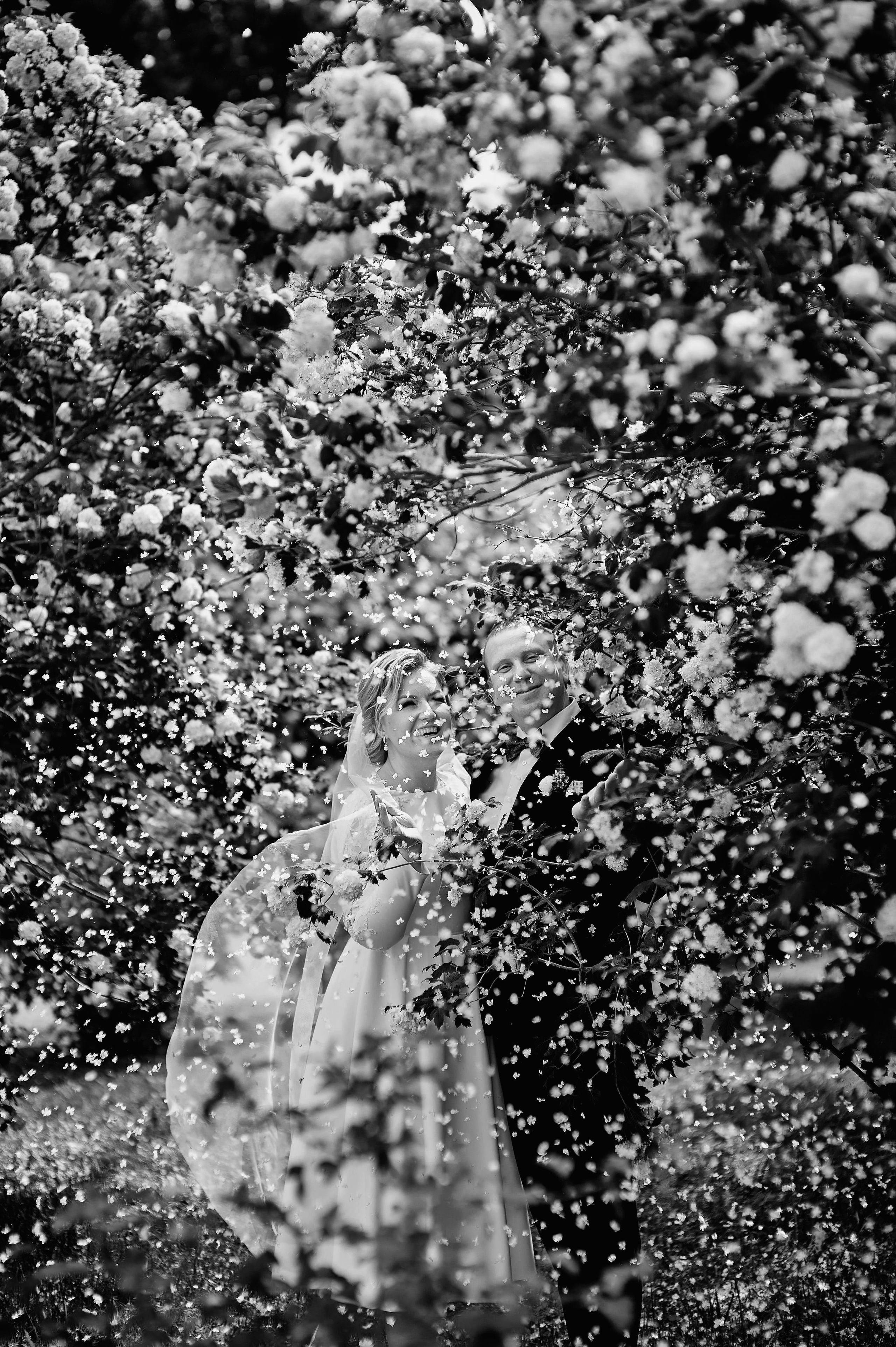 черно-белая свадебная фотография пары в цветущем саду Петергофа в Верхнем парке