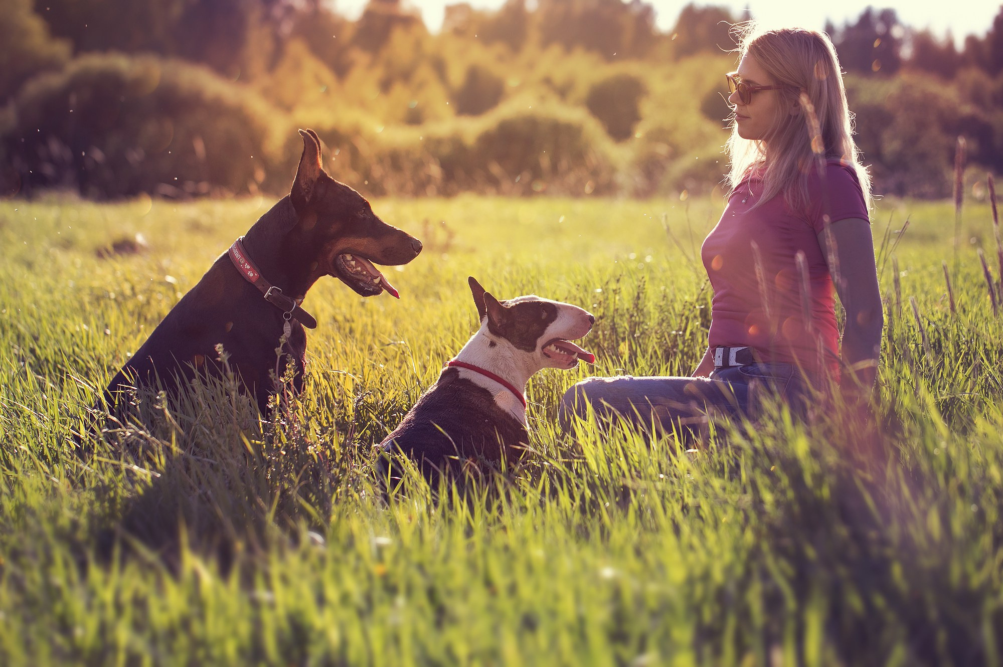 Собака и человек. Boldinova Yulia фотограф Москва