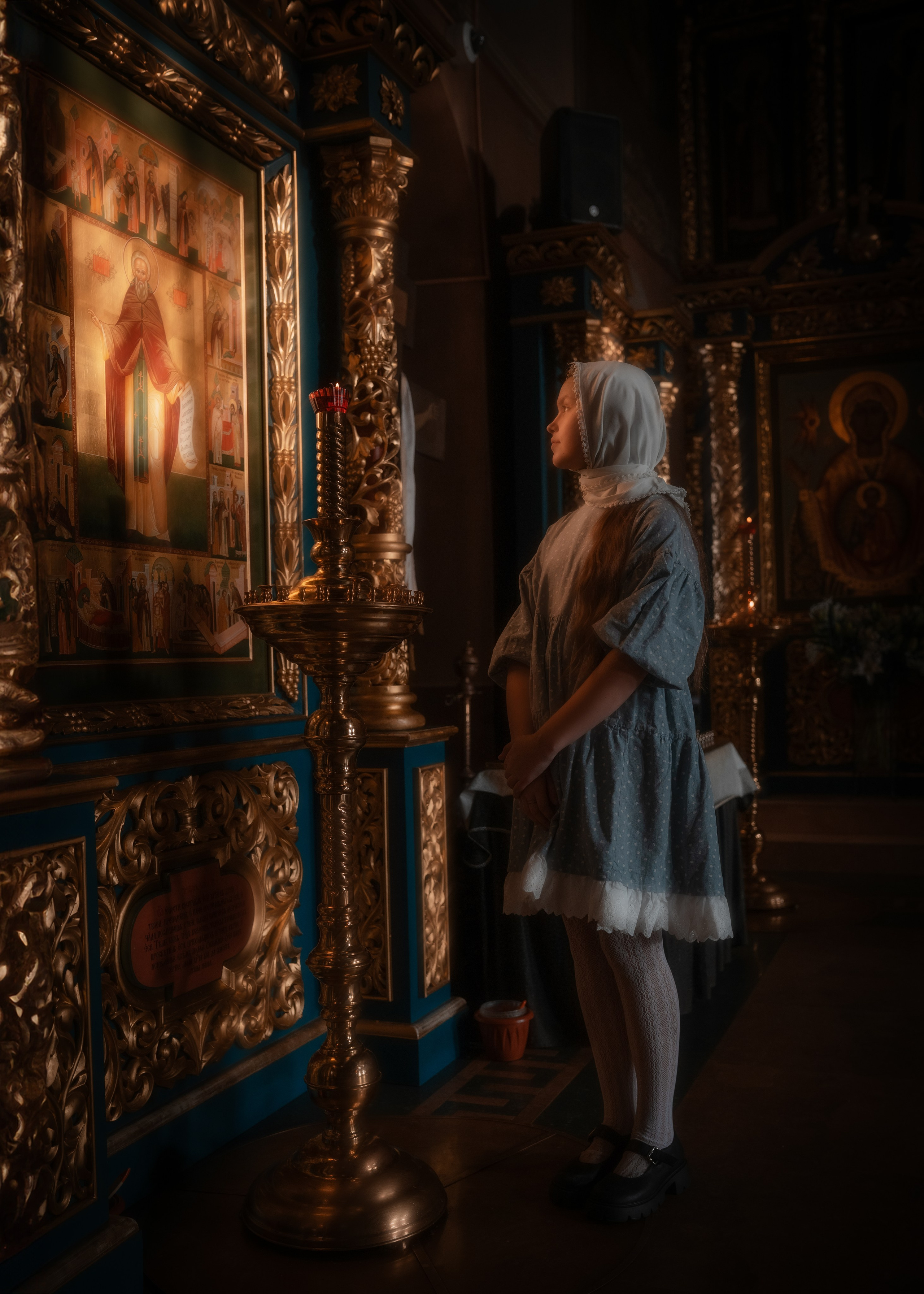 VERA. Shamirov Arkadiy