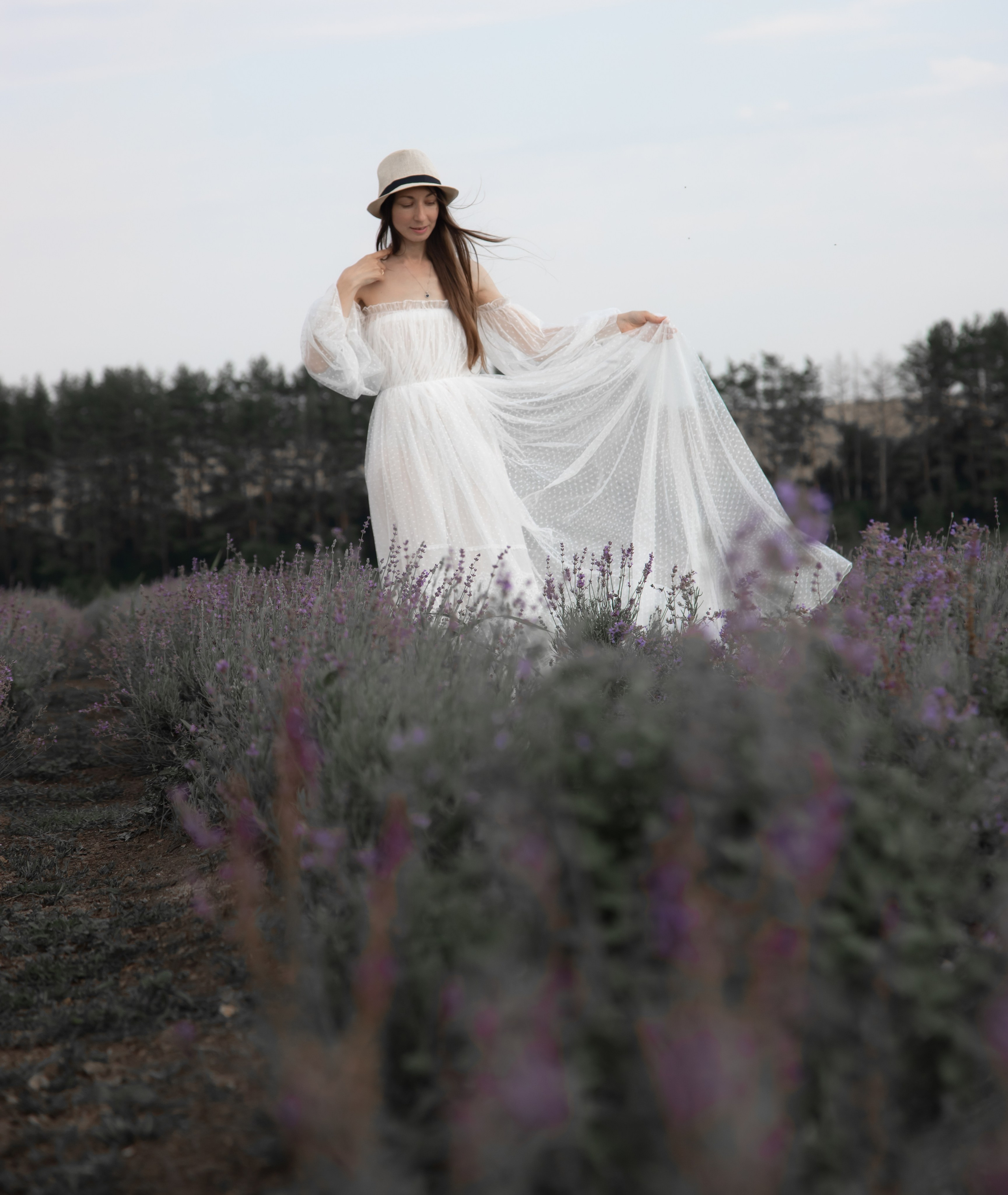 Лавандовые поля в г.Орел