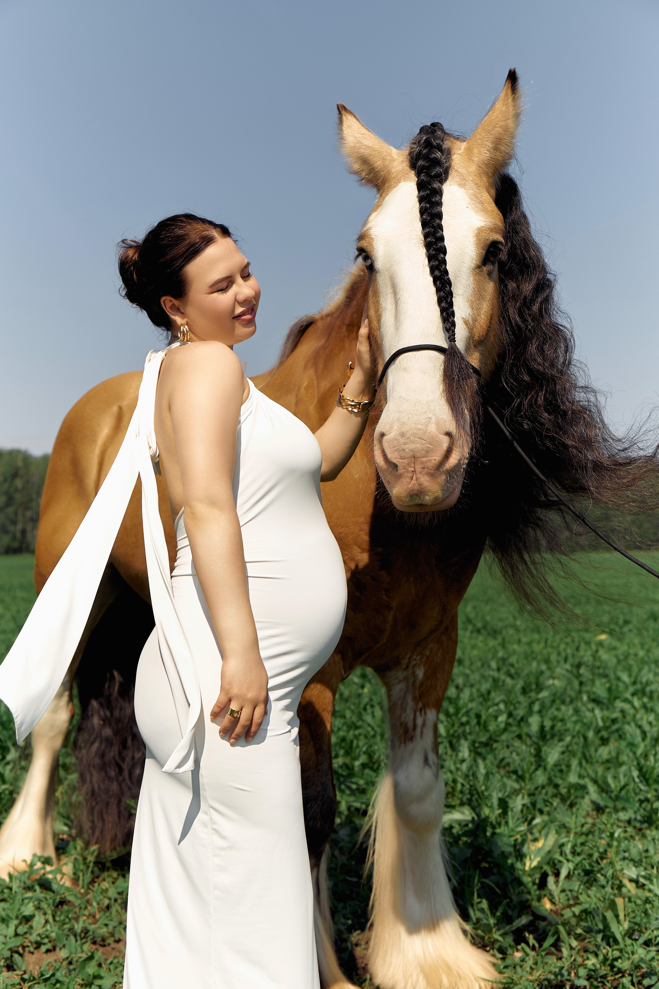 Алена Аллаки и конюшня. Главная