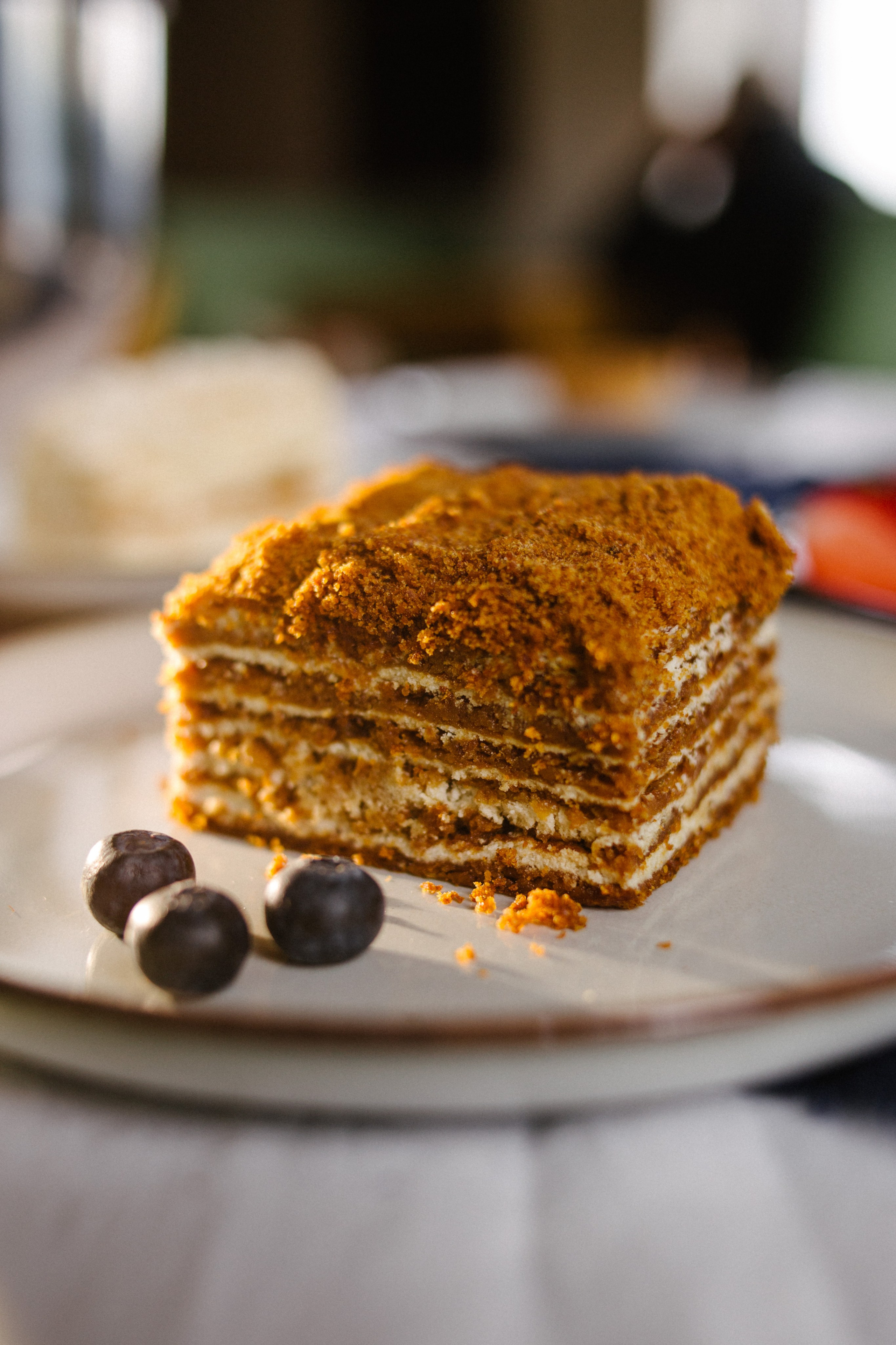 Меню для кафе «Папоротник». Фотограф Юлия Говор