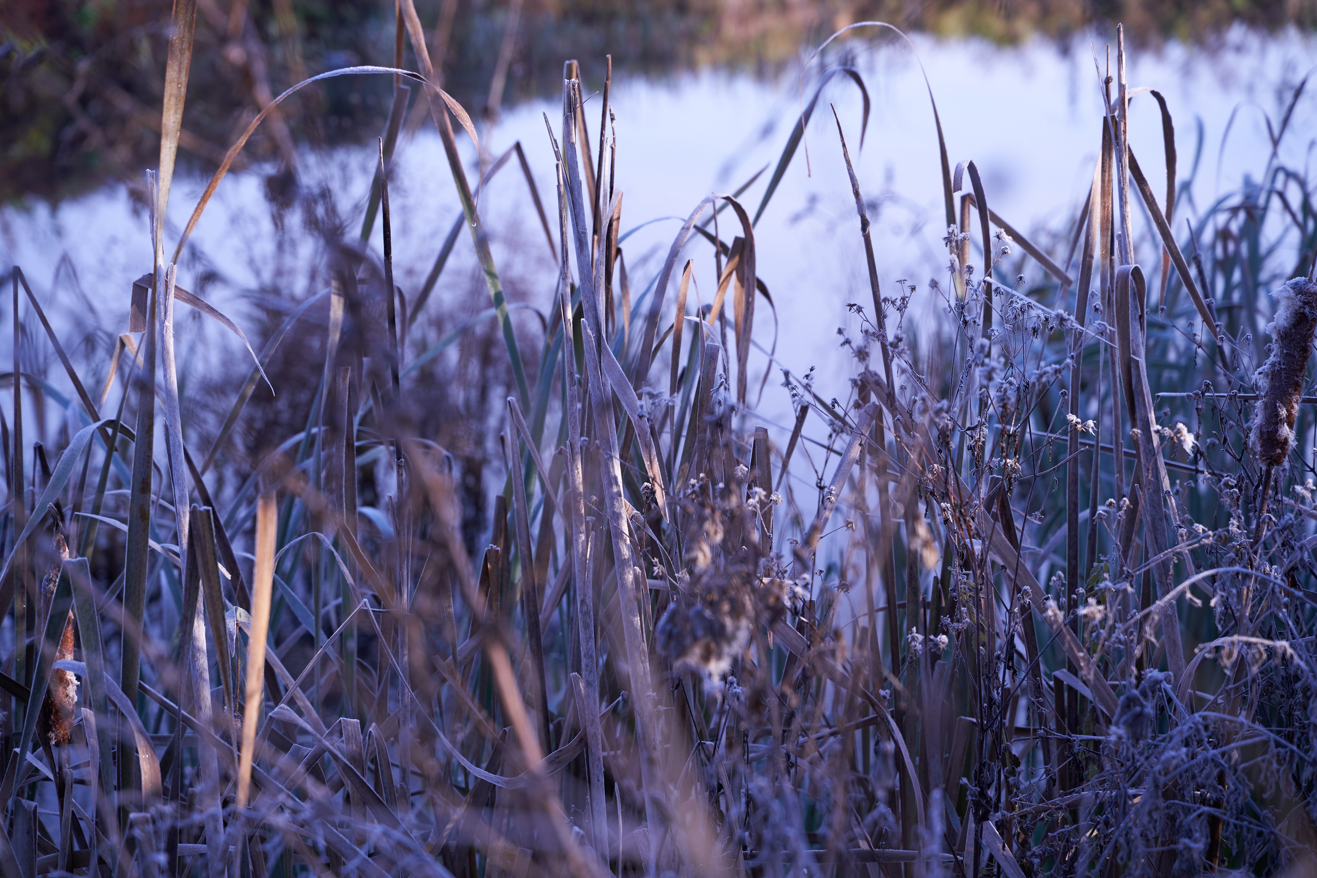 Бекстейдж съемки сериала. Krasnopoliophoto