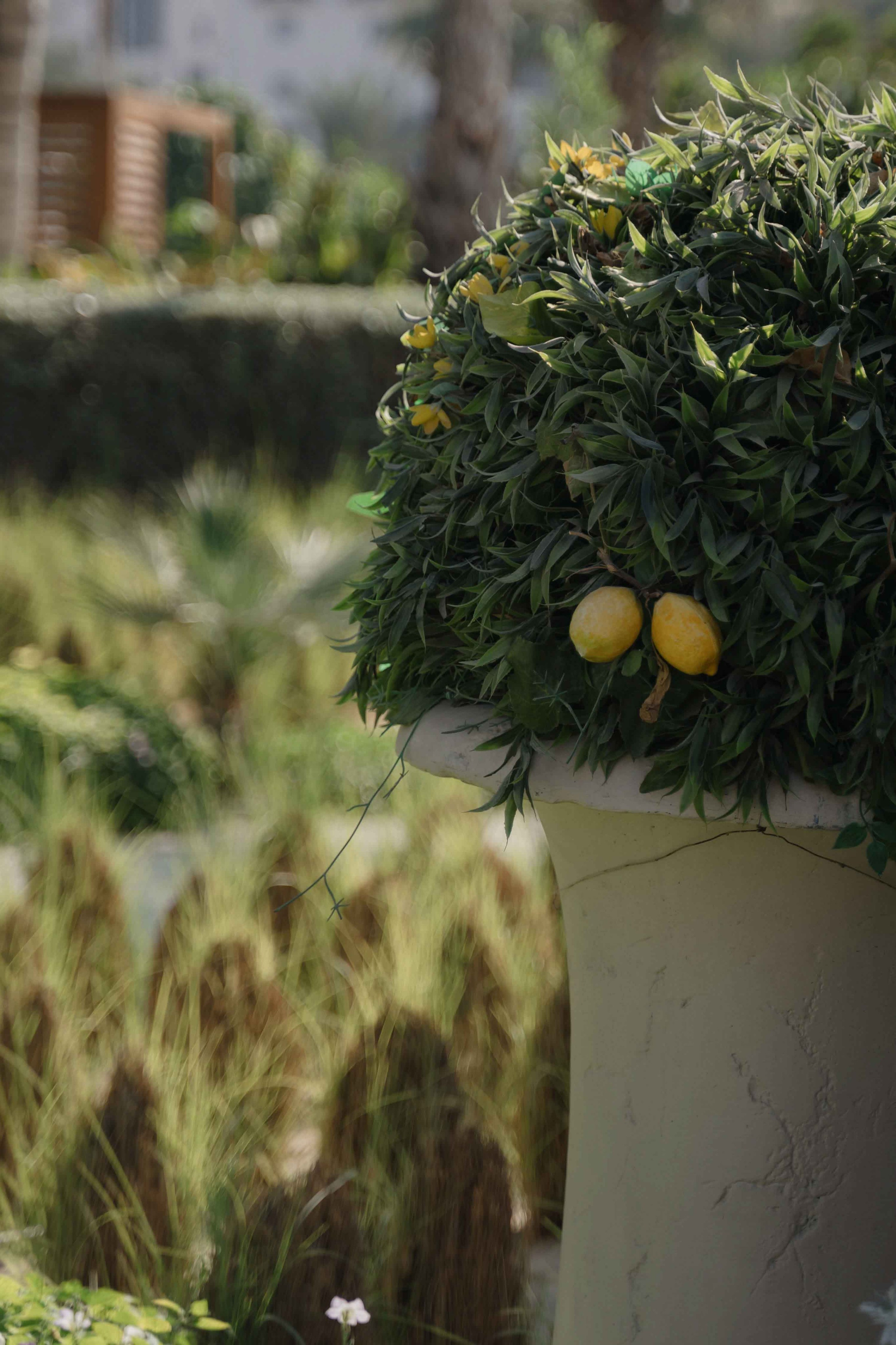 Свадебный бранч в ресторане. Фотограф и видеограф в Москве и Абу Даби Мария Кулагина