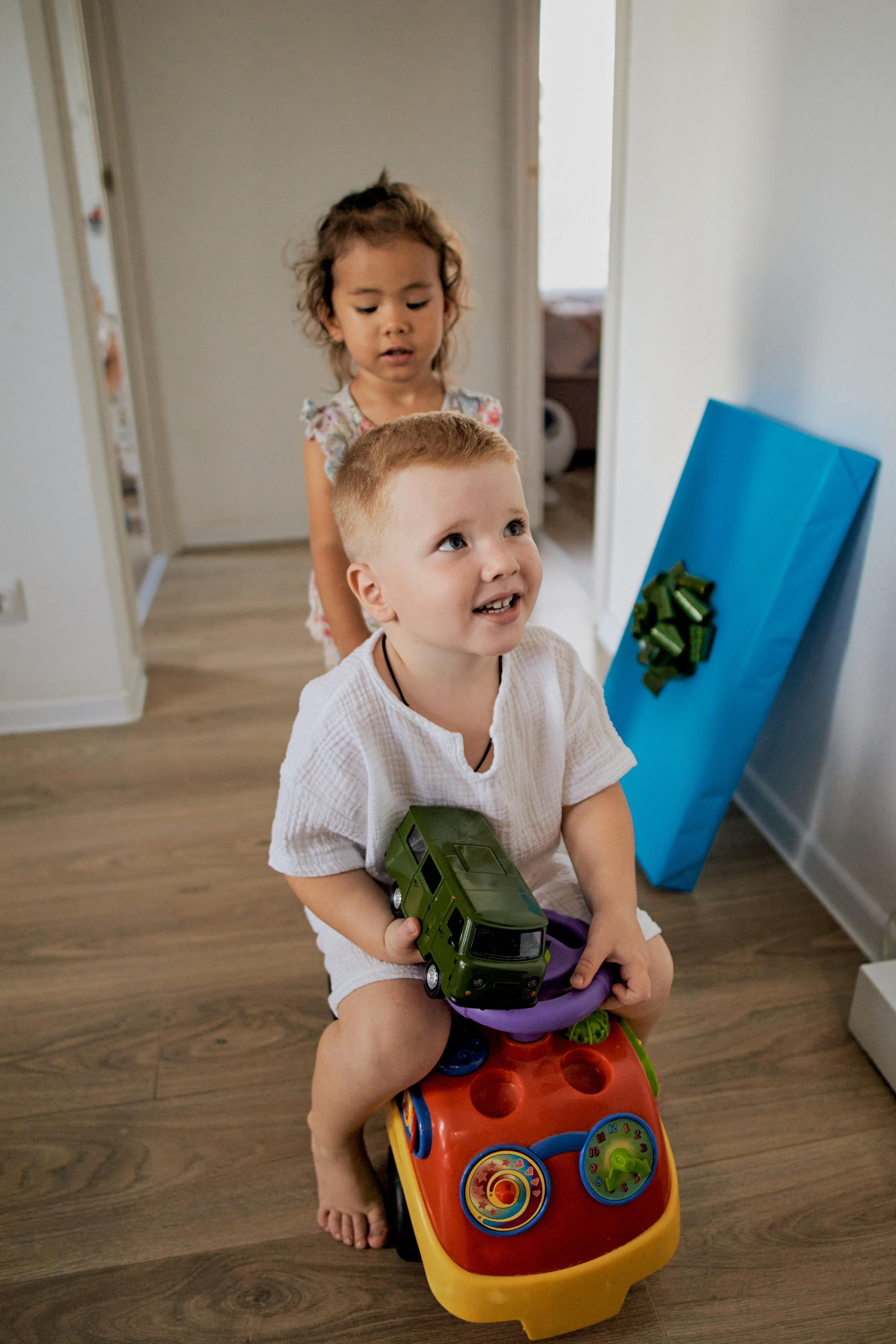 Три кота. Фотограф Москва