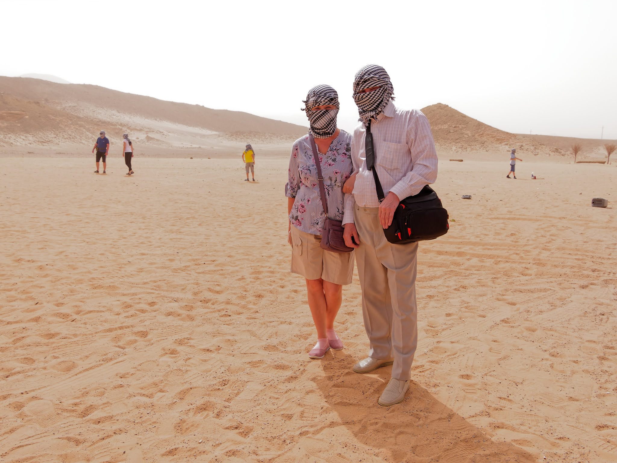 Шарм-эль-Шейх 2022, сафари. Избранные фотографии