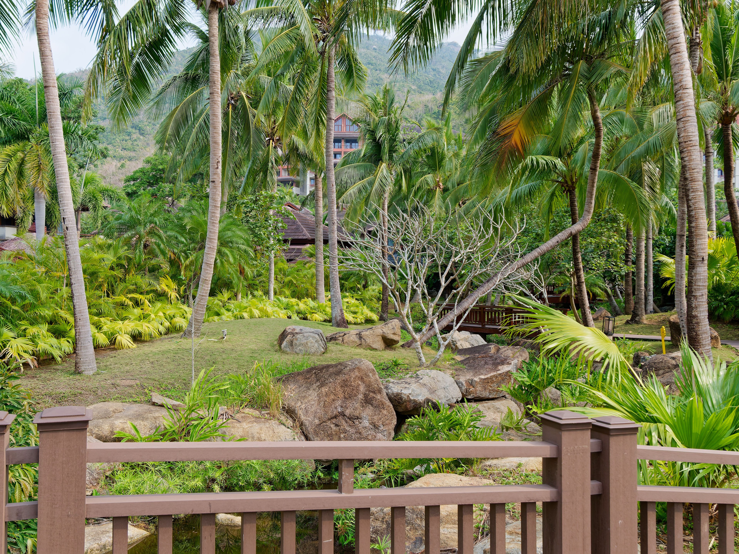 Хайнань 2026, первые впечатления. Фотопрогулки по Миру