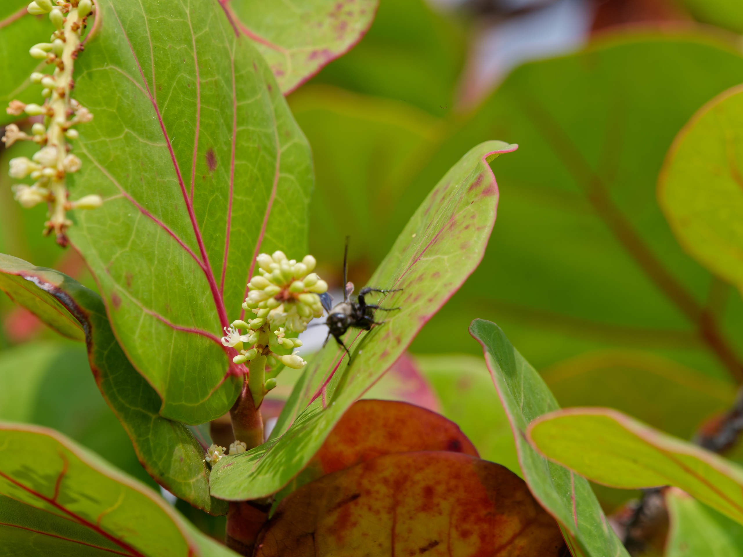 Нячанг 2025 (7). Избранные фотографии