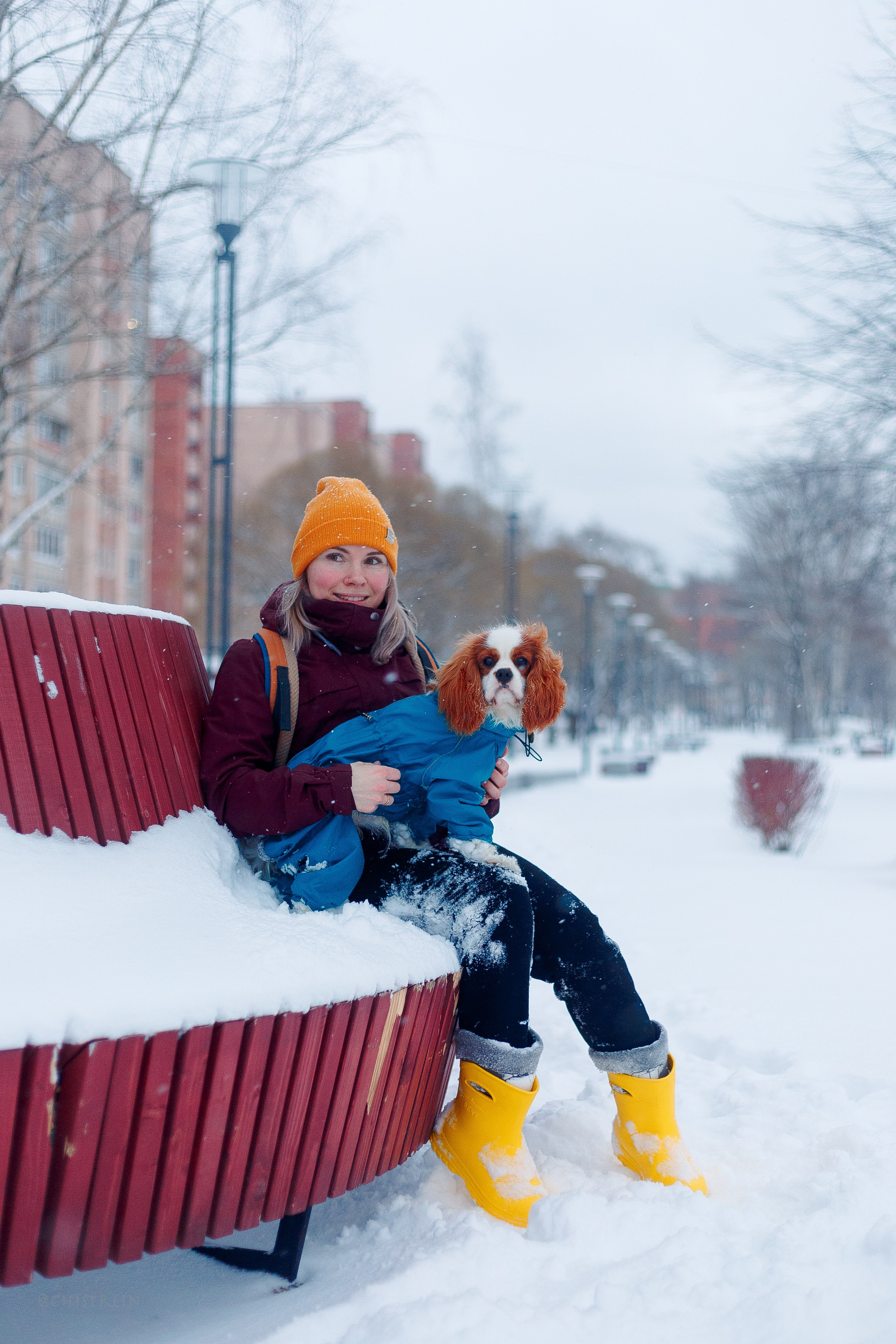 Внезапно апрельская зима. Фотограф-анималист Наталия Чистюхина в г. Сосновый Бор и ЛО