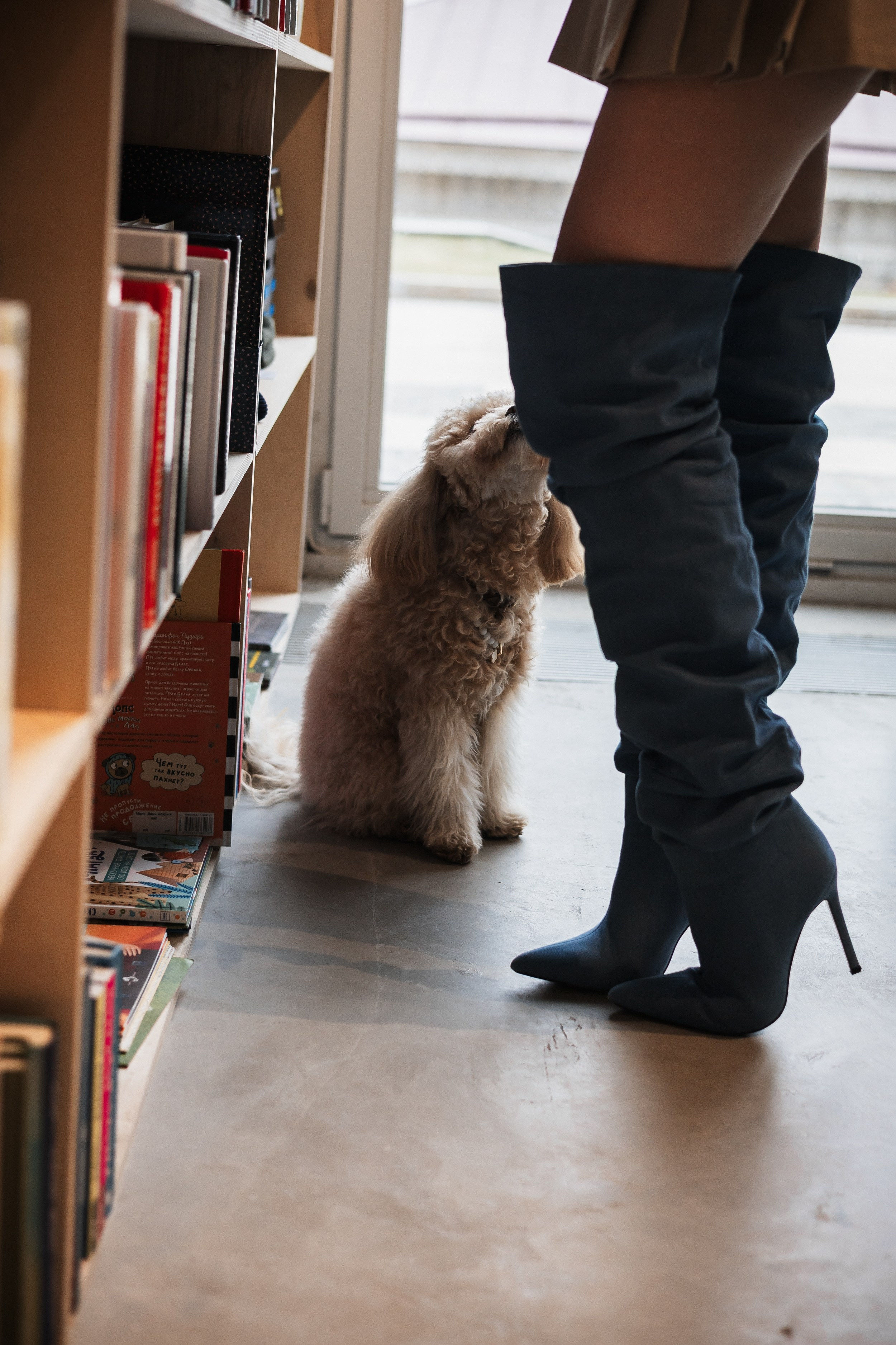 Алина — прогулка