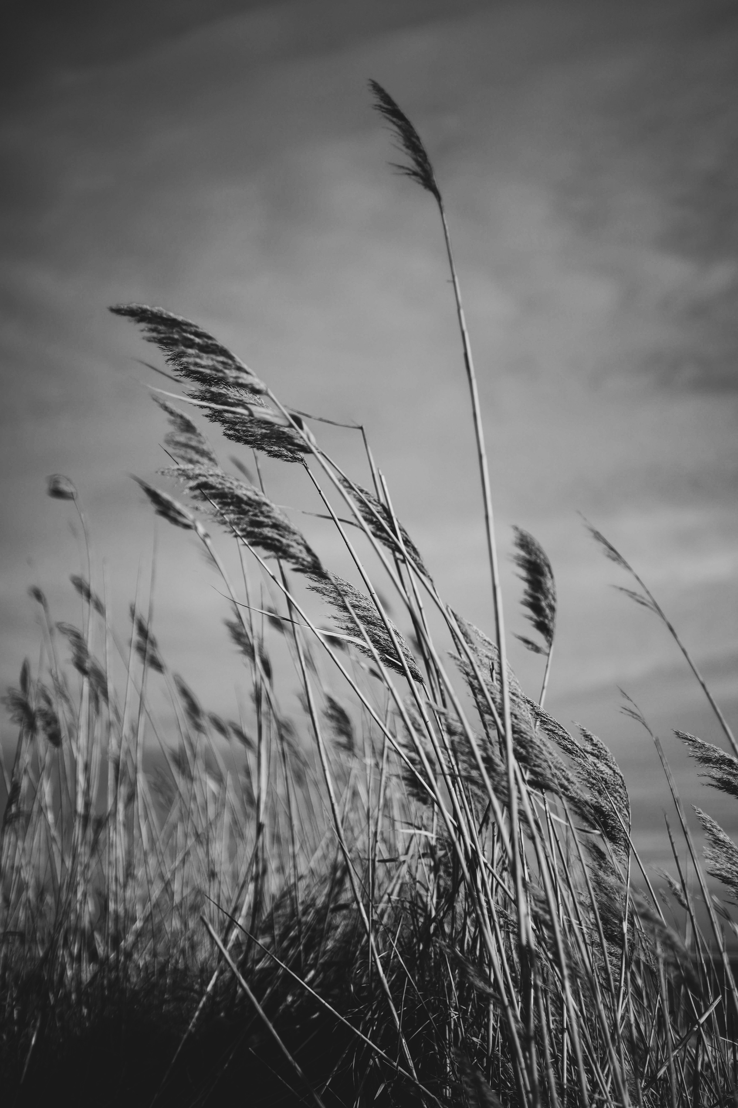 Пейзажи и уличная съёмка