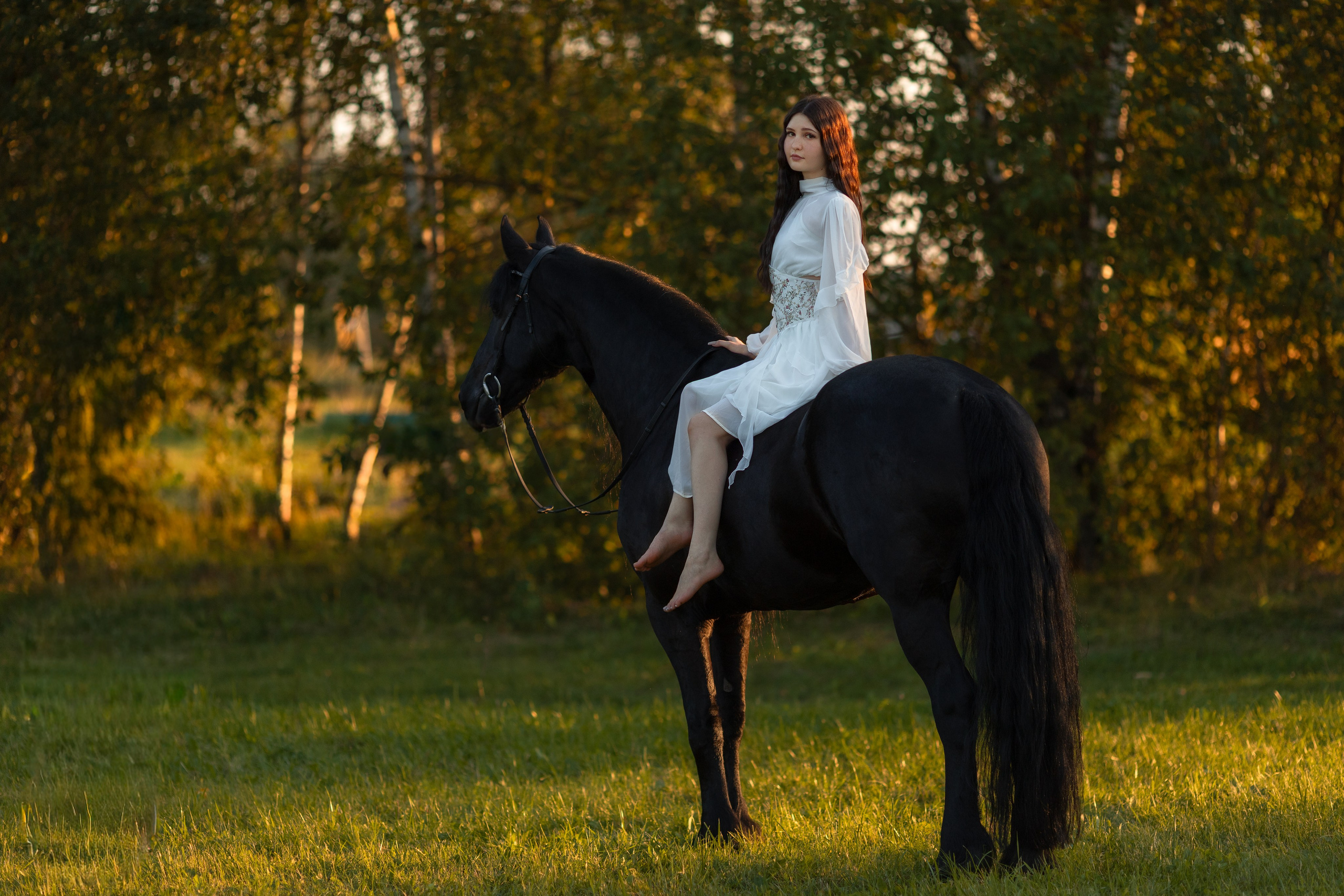 Фотосессия с лошадьми на закате. Фотосессии с лошадьми в Москве от Конный фотографа Кутейниковой Светланы