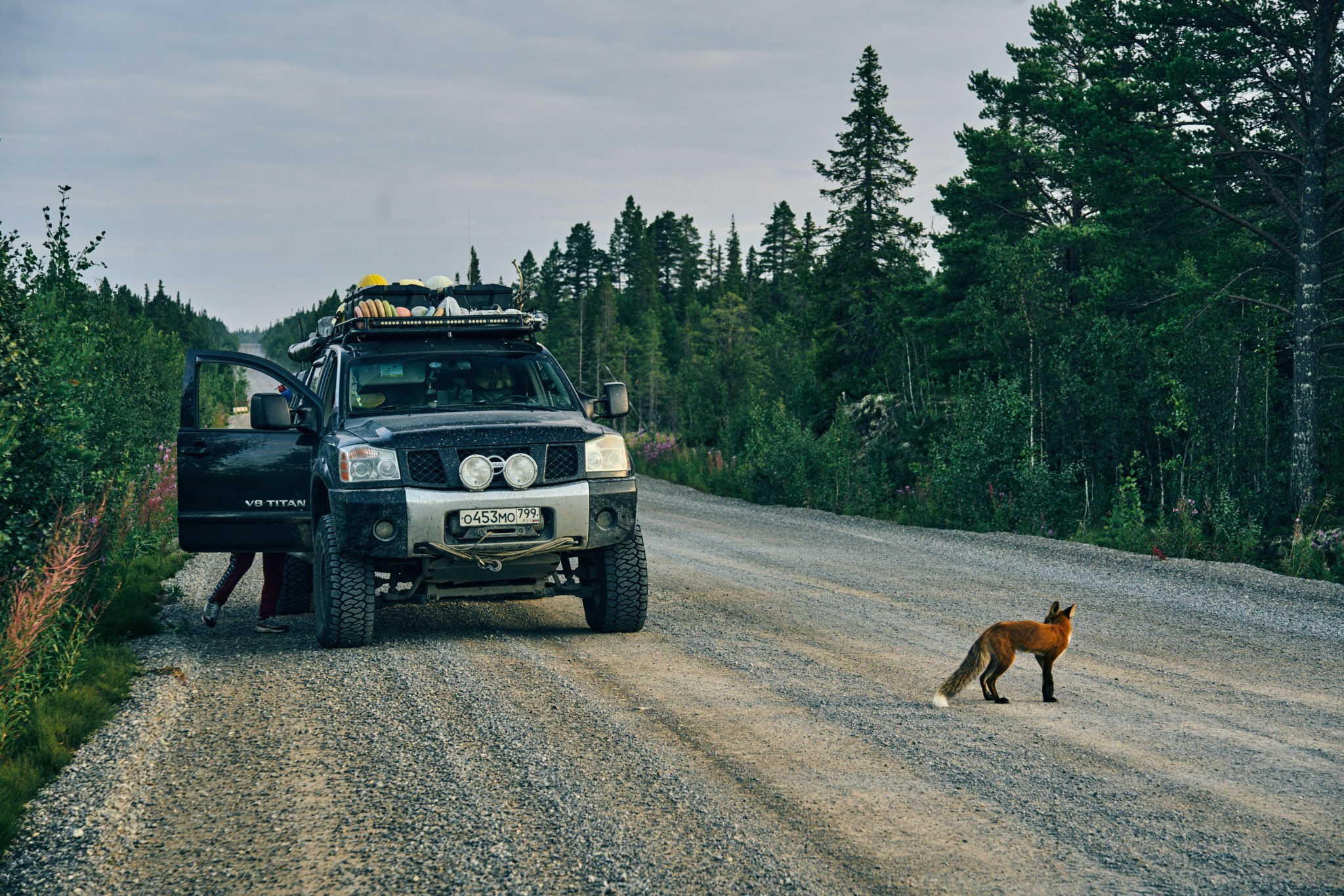 Путешествие на Север в 2023 году. Внедорожные путешествия — OFFROADTRIP