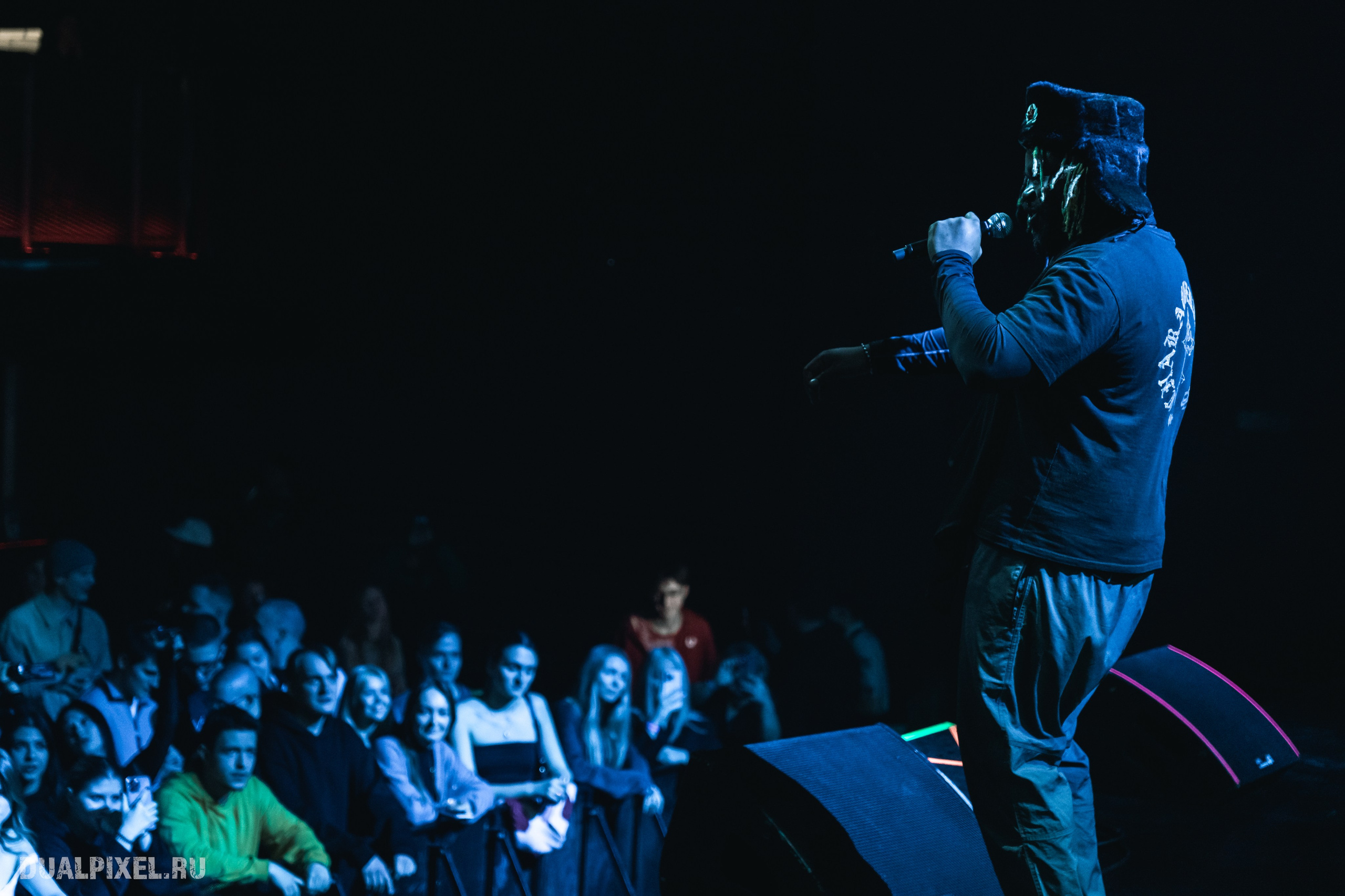 Prince Of Falls. Магия музыки в кадре: Концертная Фотография