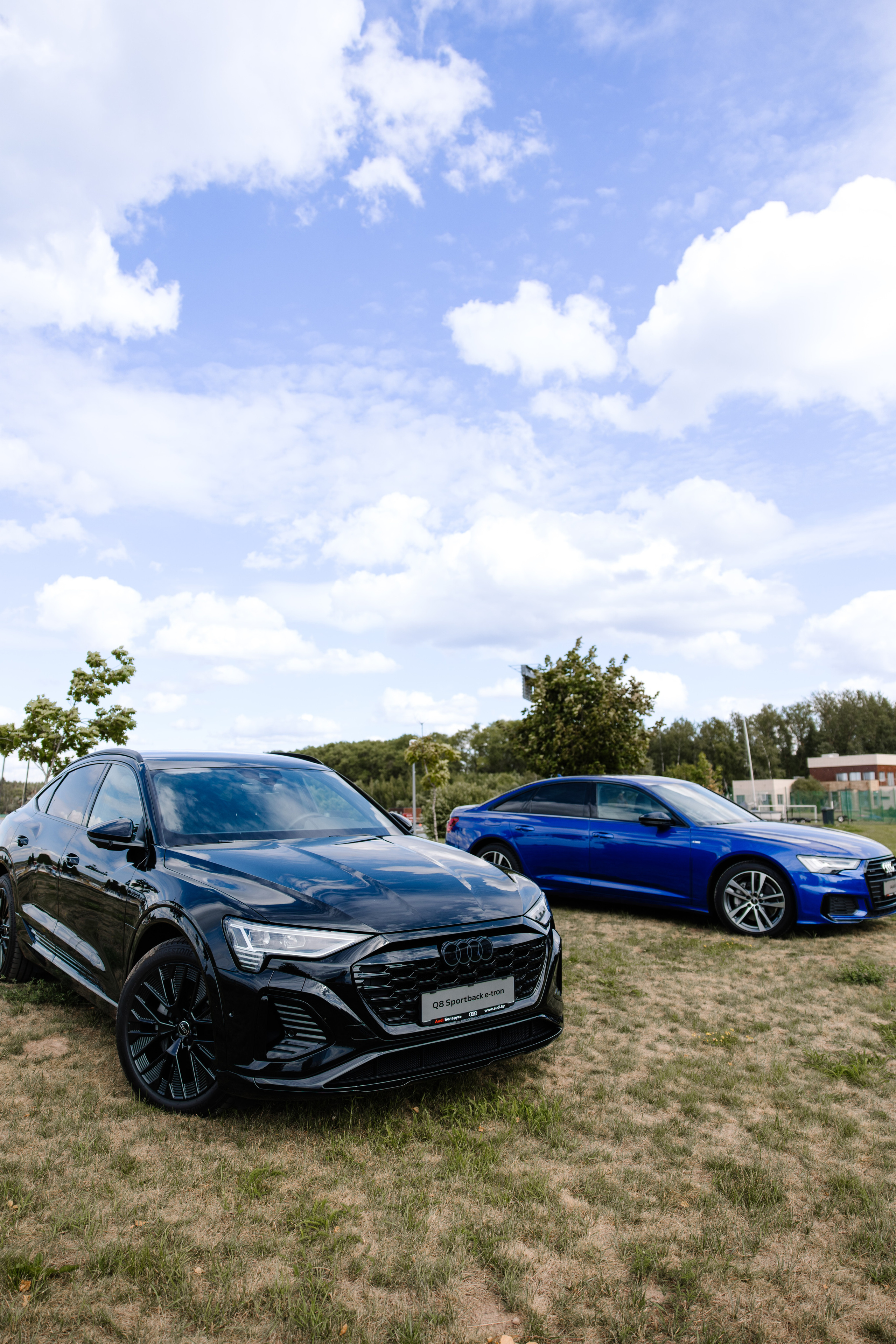 World Class. Регата. Организатор -Елена Гаманович. Главная