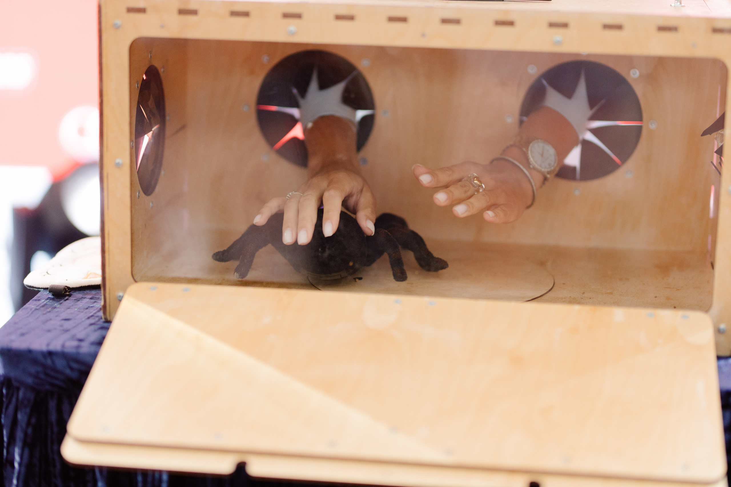 World Class. Регата. Организатор -Елена Гаманович. Главная