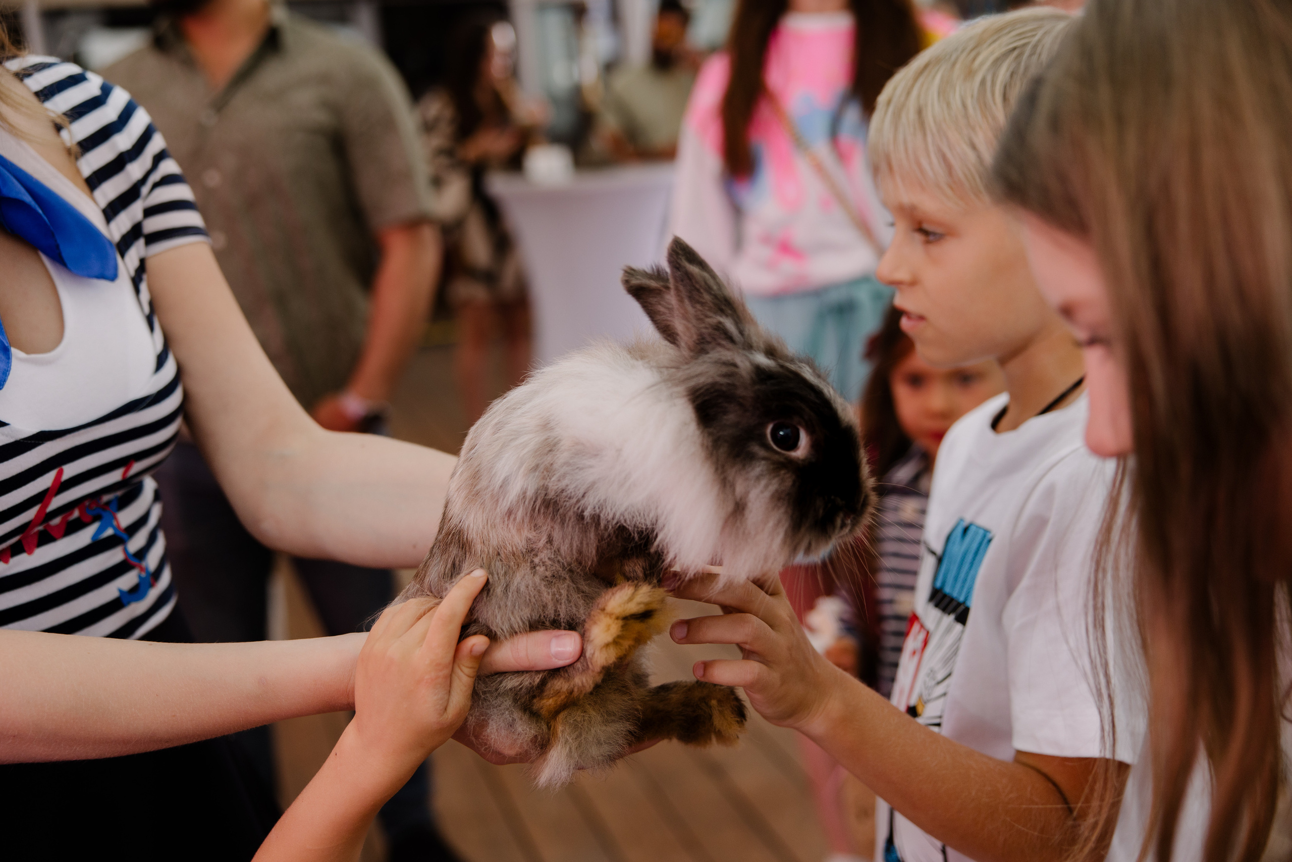 World Class. Регата. Организатор -Елена Гаманович. Главная