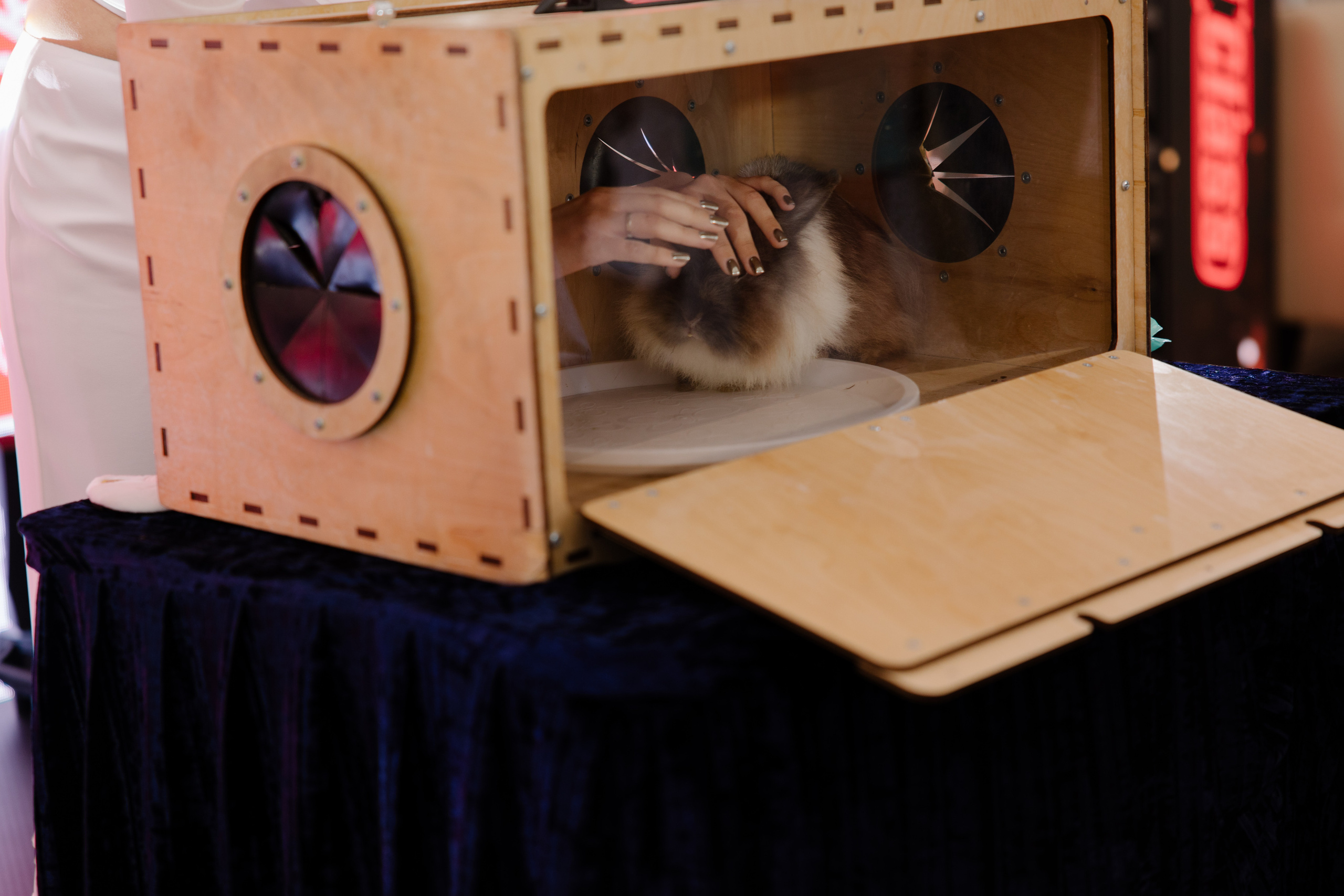 World Class. Регата. Организатор -Елена Гаманович. Главная