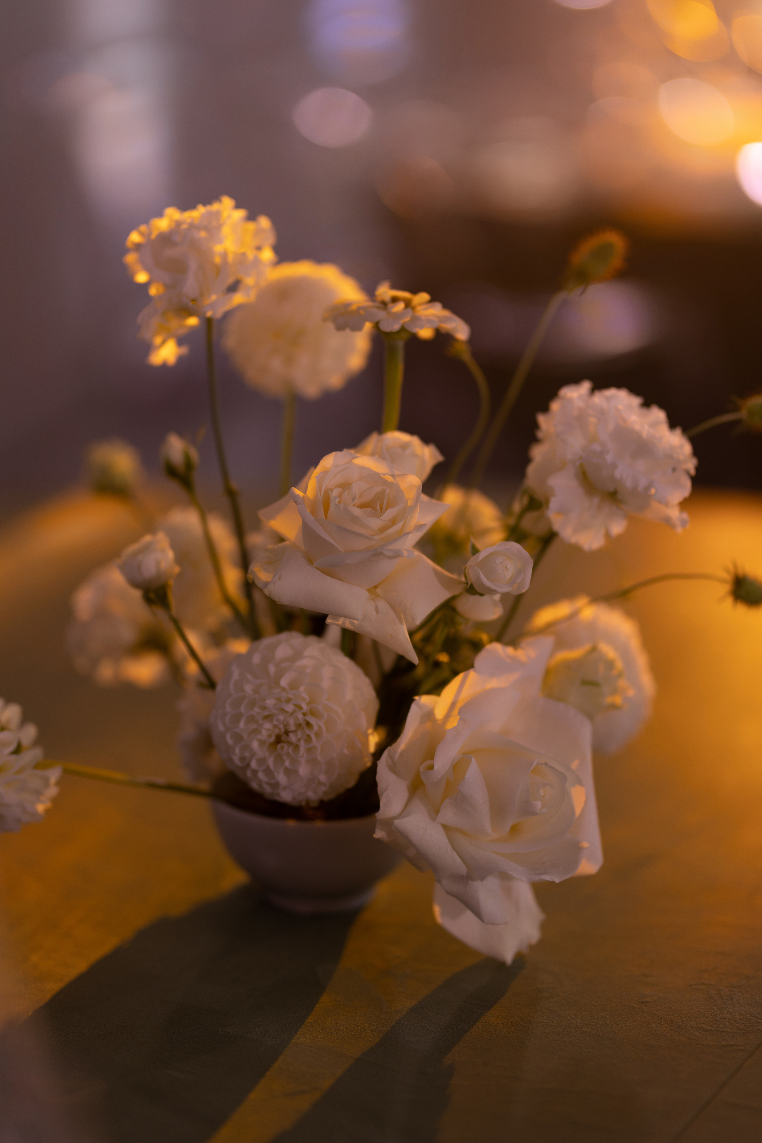 Максим & Алеся. Главная