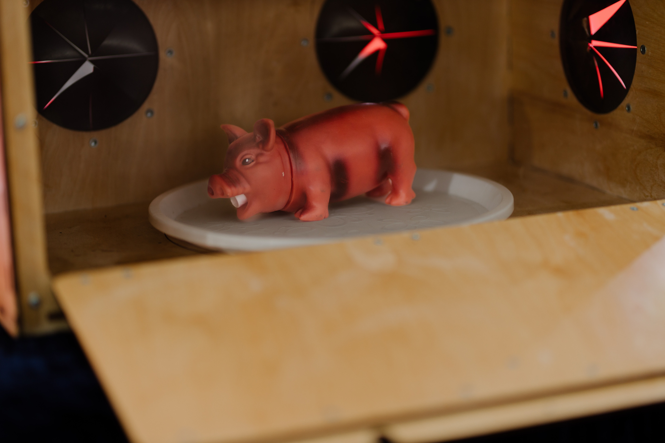 World Class. Регата. Организатор -Елена Гаманович. Главная