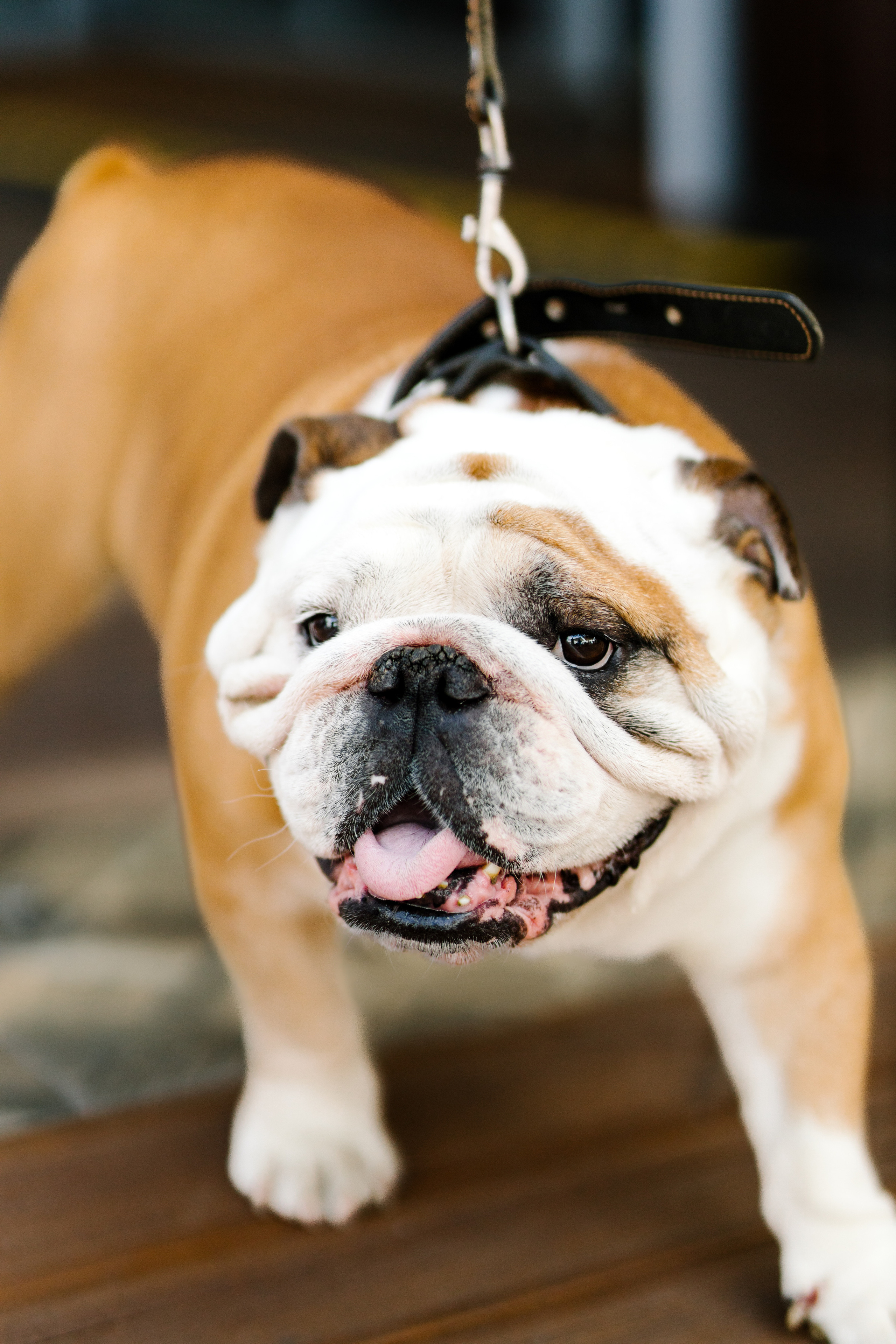 World Class. Регата. Организатор -Елена Гаманович. Главная