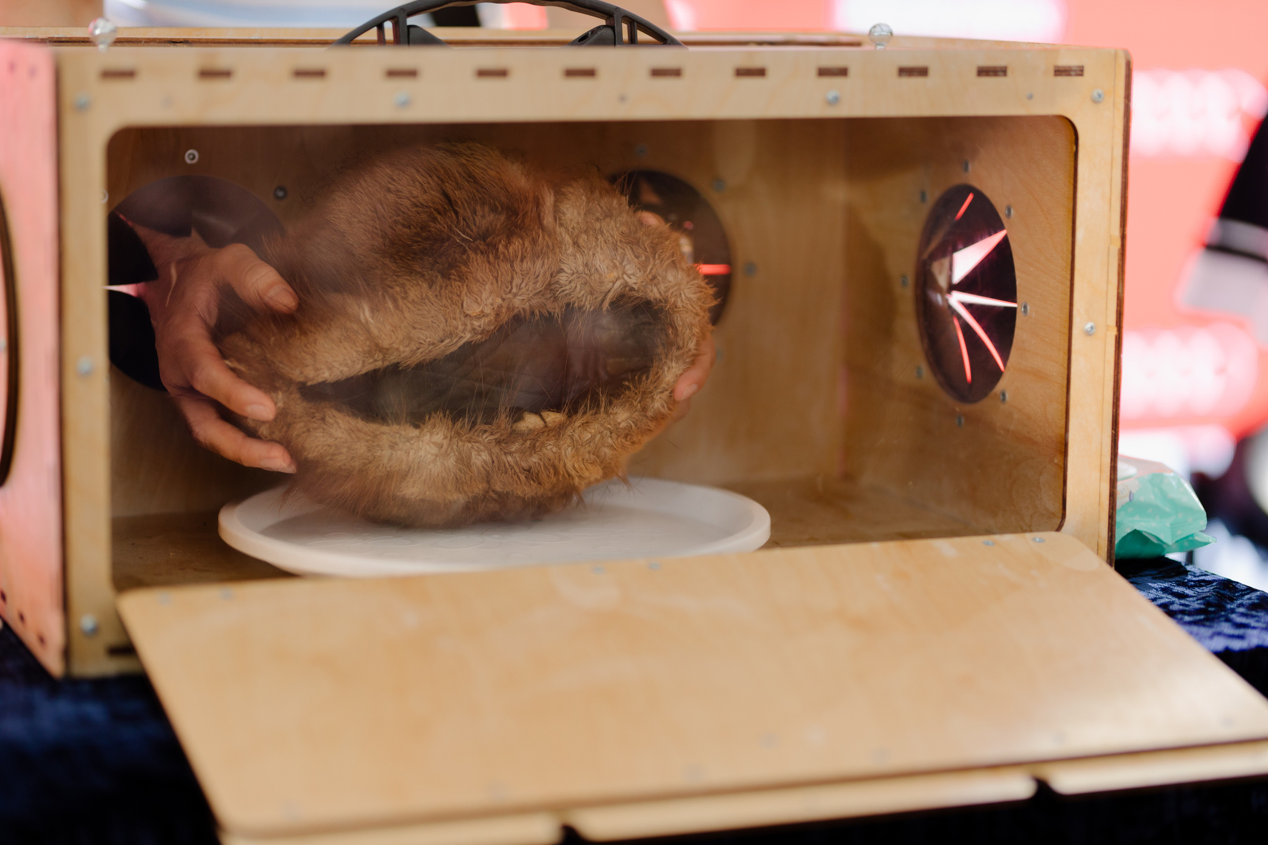 World Class. Регата. Организатор -Елена Гаманович. Главная