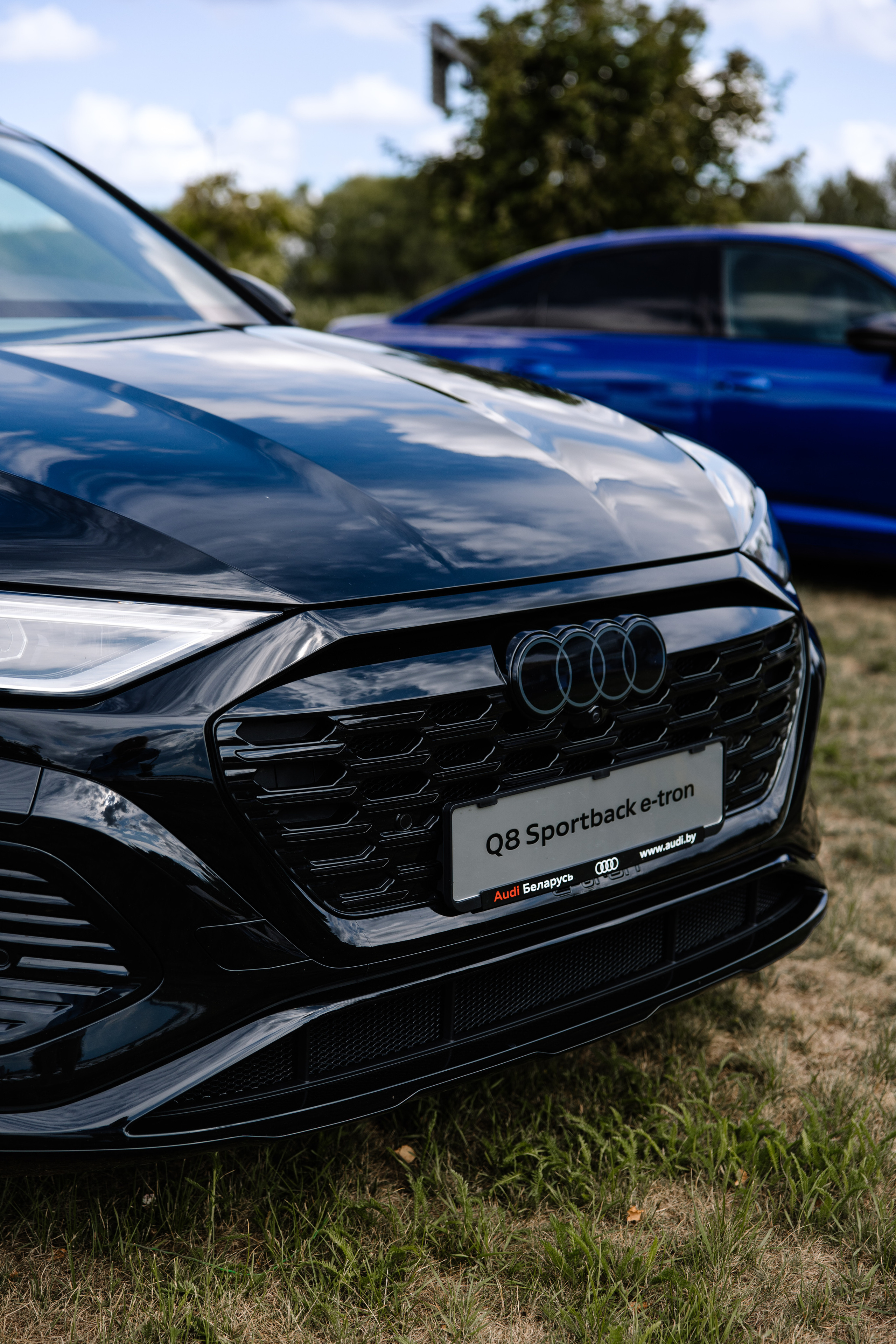 World Class. Регата. Организатор -Елена Гаманович. Главная