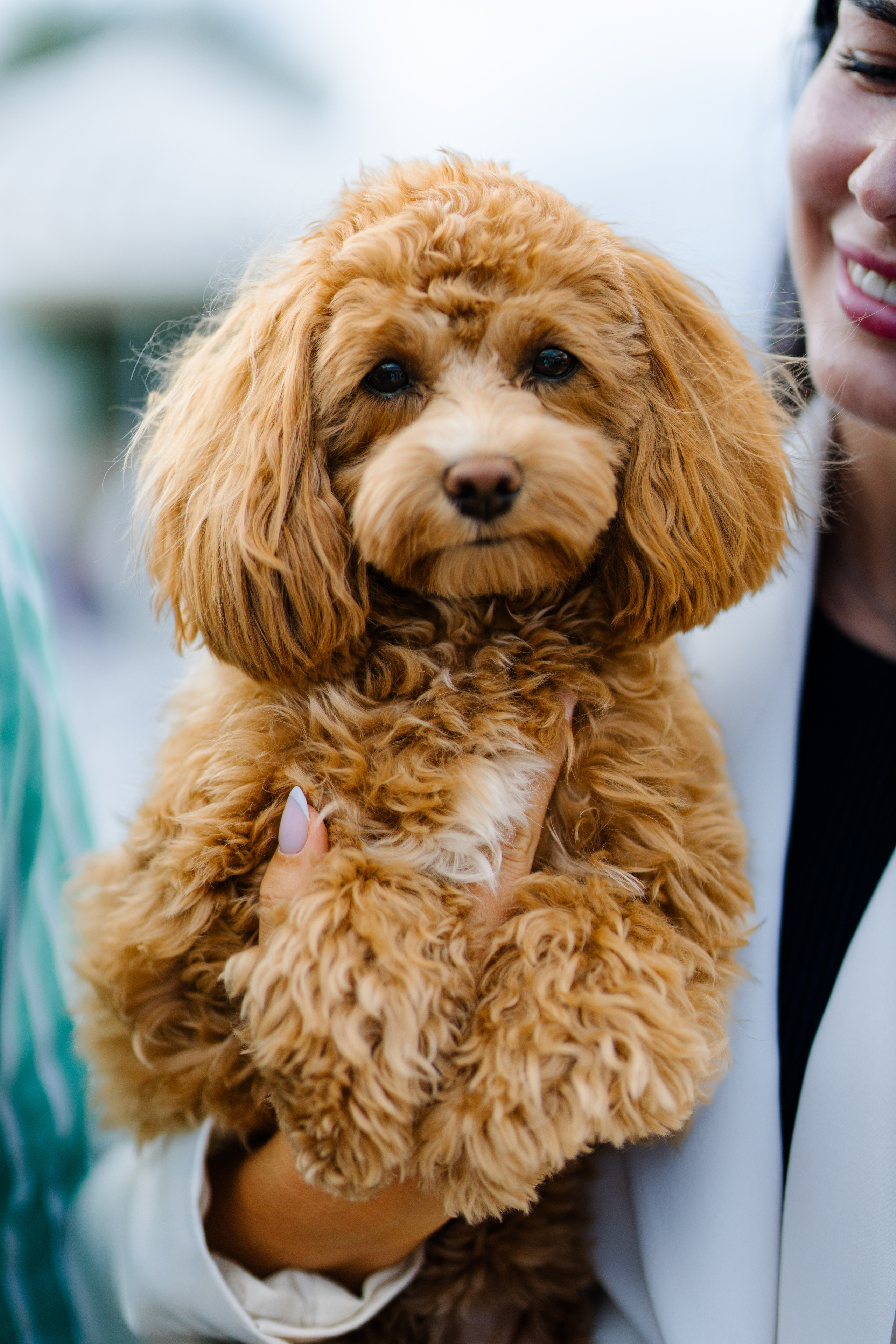 World Class. Регата. Организатор -Елена Гаманович. Главная