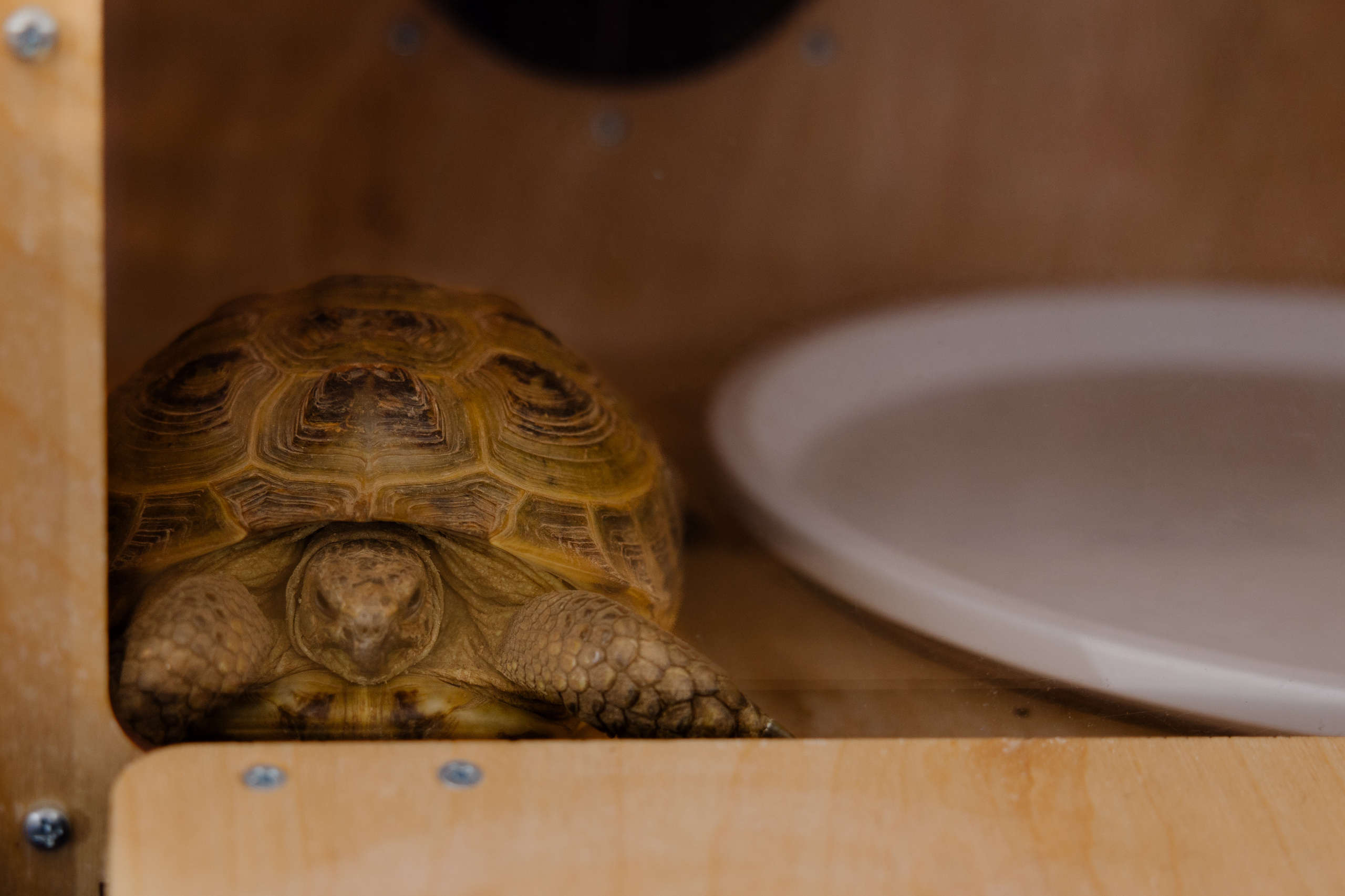 World Class. Регата. Организатор -Елена Гаманович. Главная