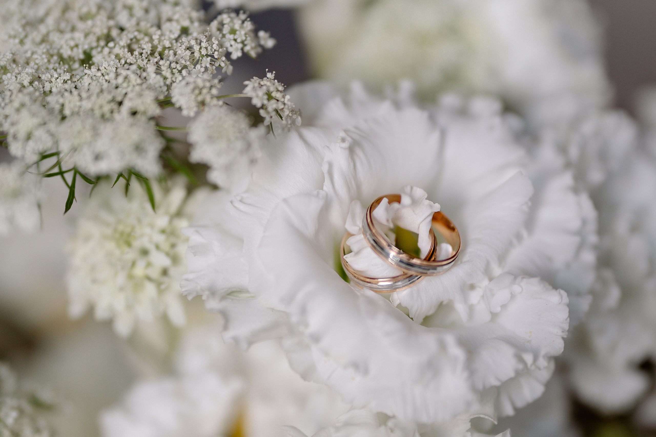 Максим & Алеся. Главная