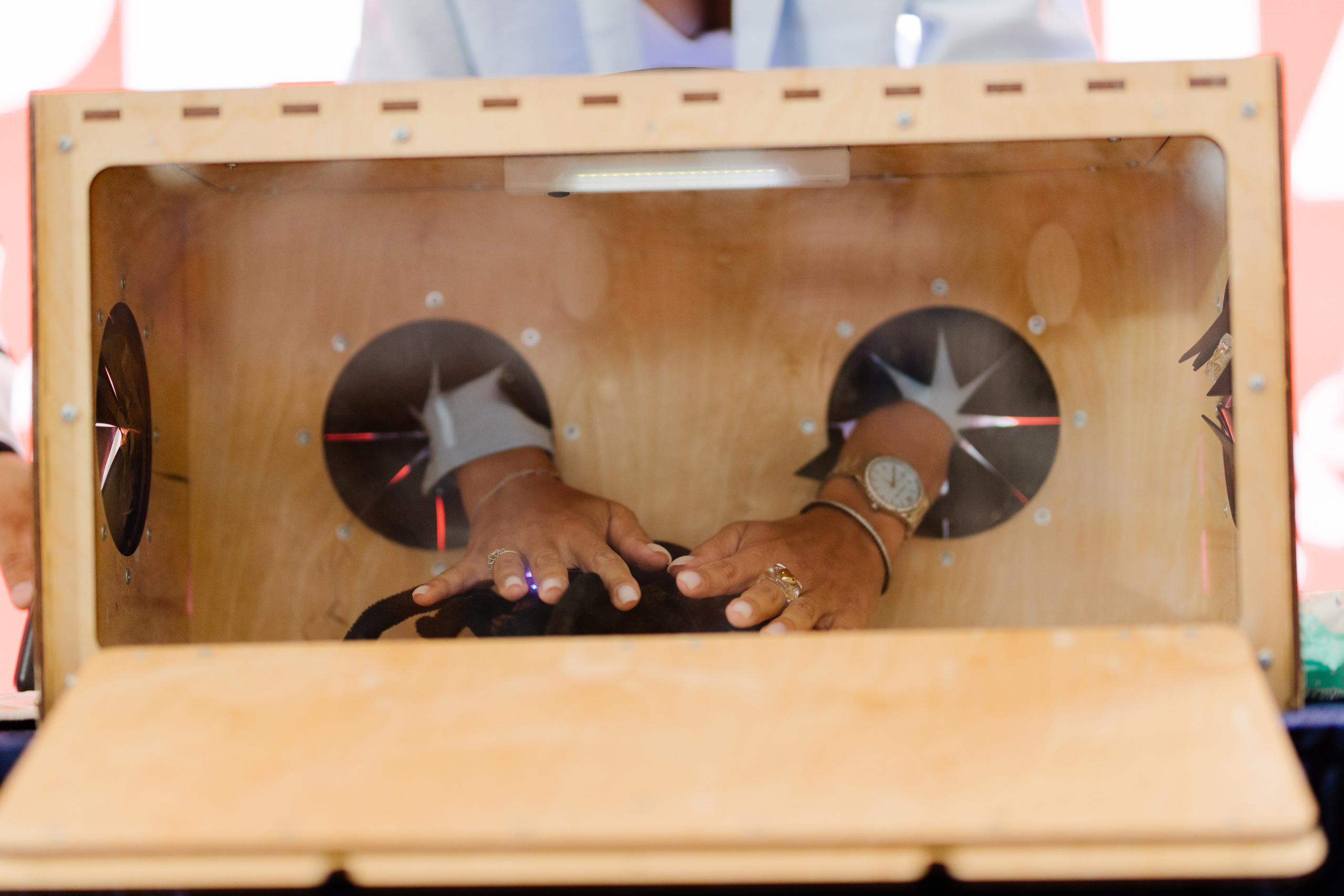 World Class. Регата. Организатор -Елена Гаманович. Главная