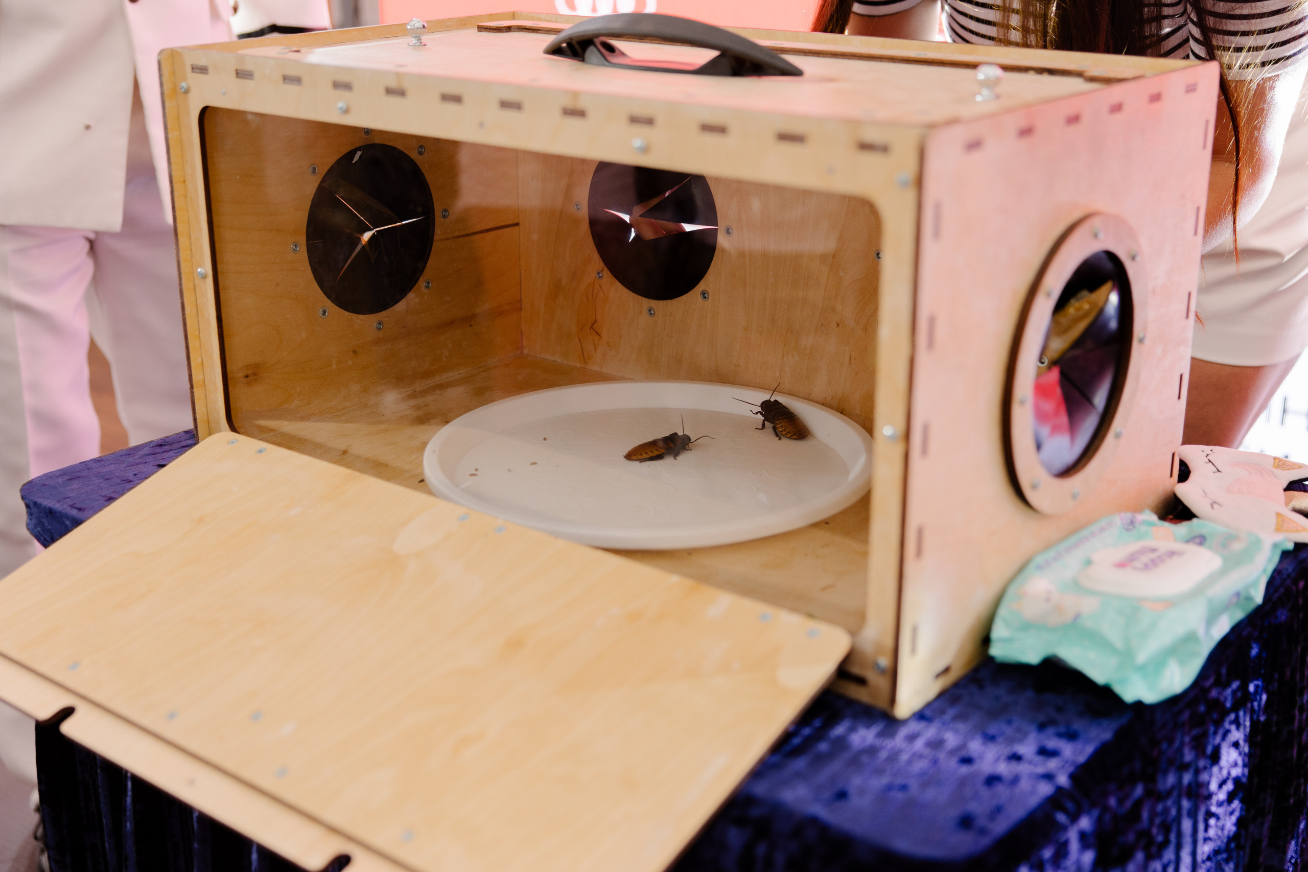 World Class. Регата. Организатор -Елена Гаманович. Главная