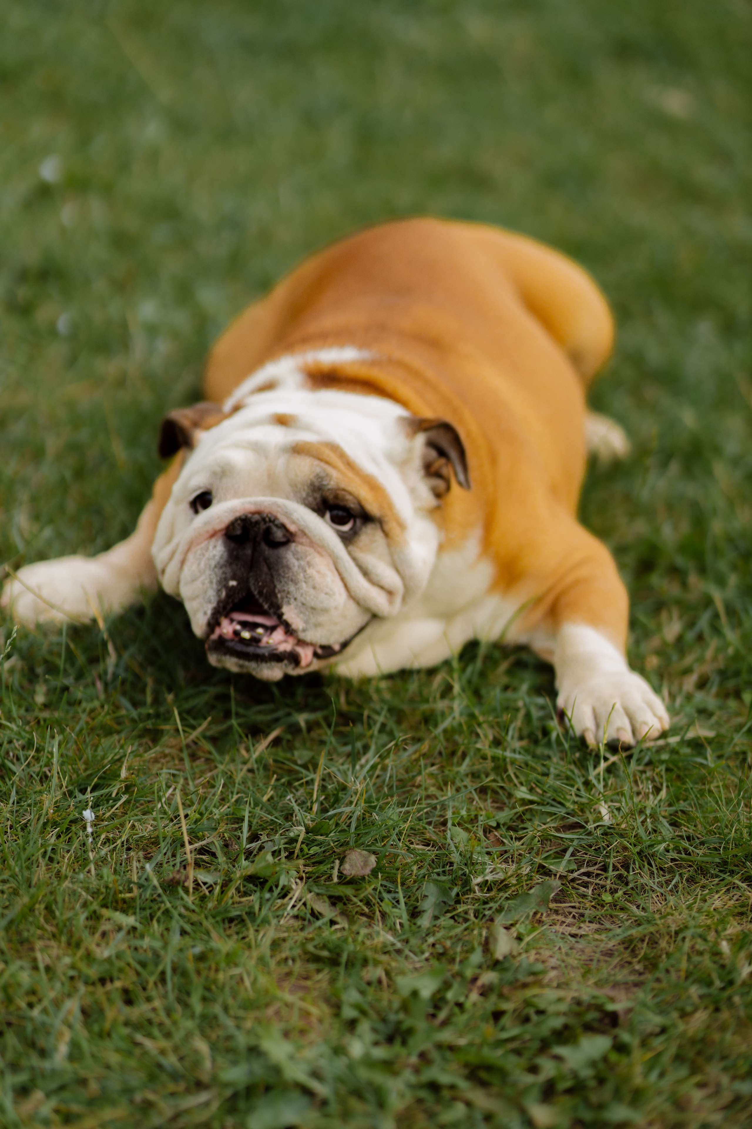 World Class. Регата. Организатор -Елена Гаманович. Главная