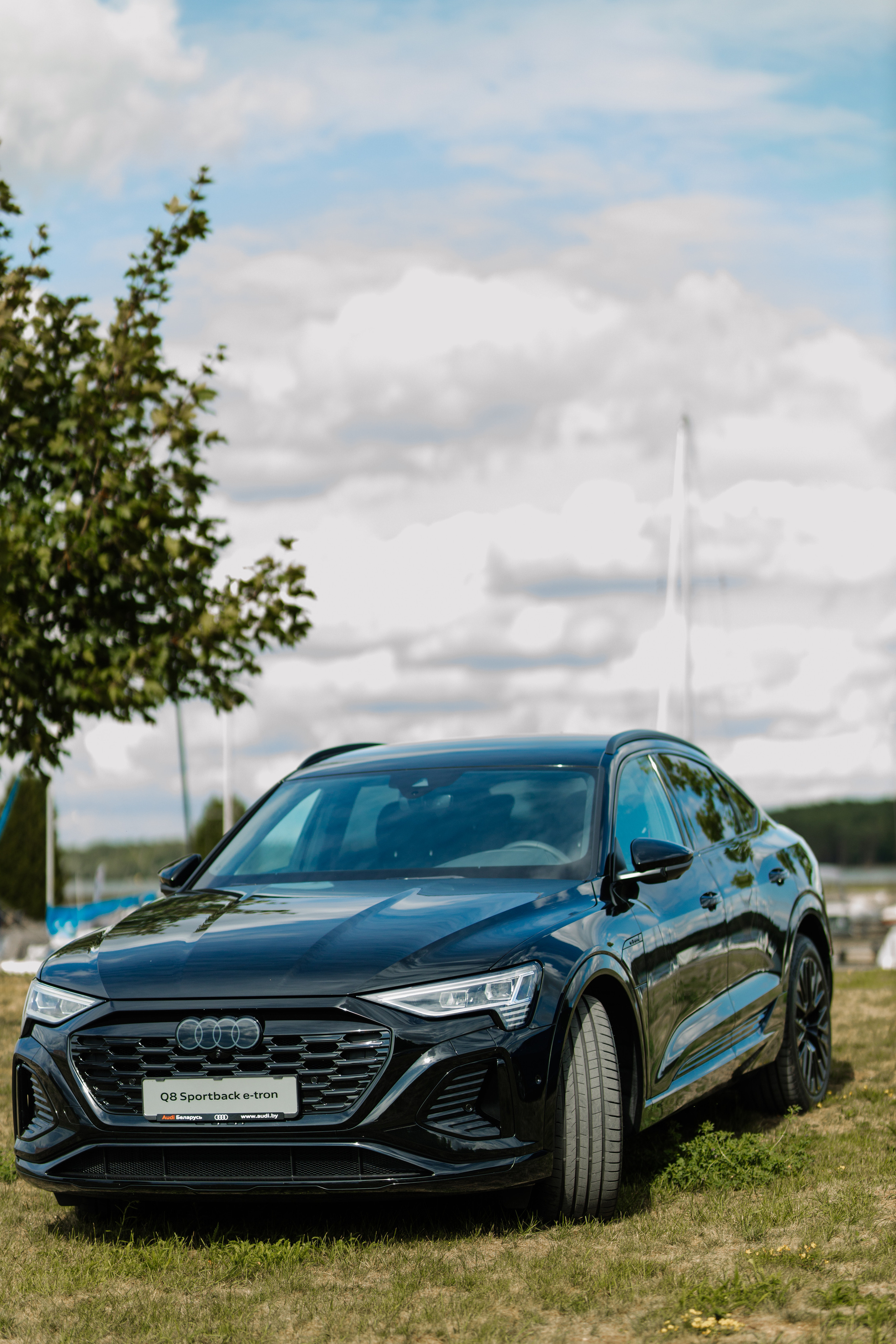 World Class. Регата. Организатор -Елена Гаманович. Главная