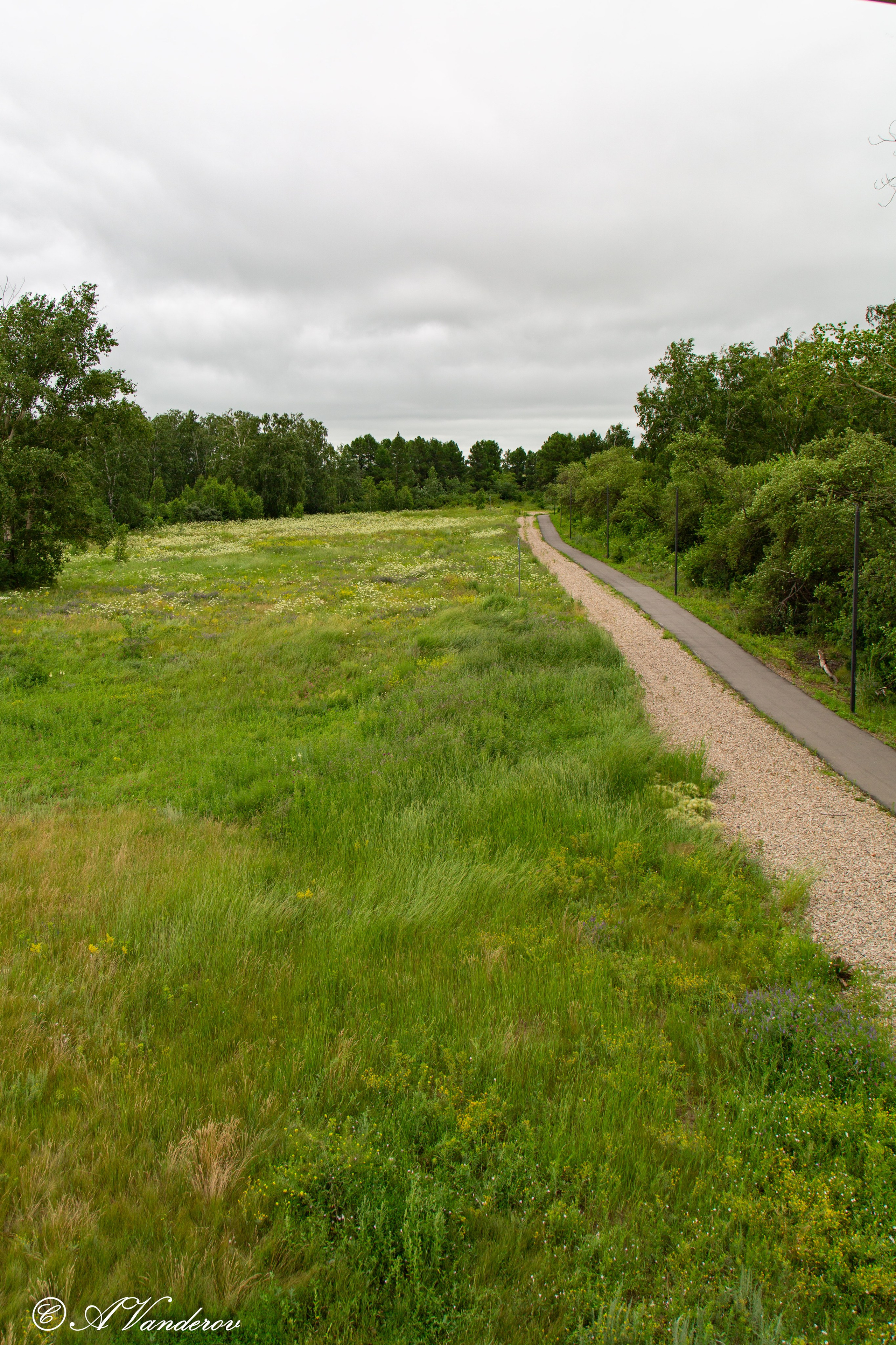 Калачинск 07.07.2024. Фотограф Омск | Александр Вандеров
