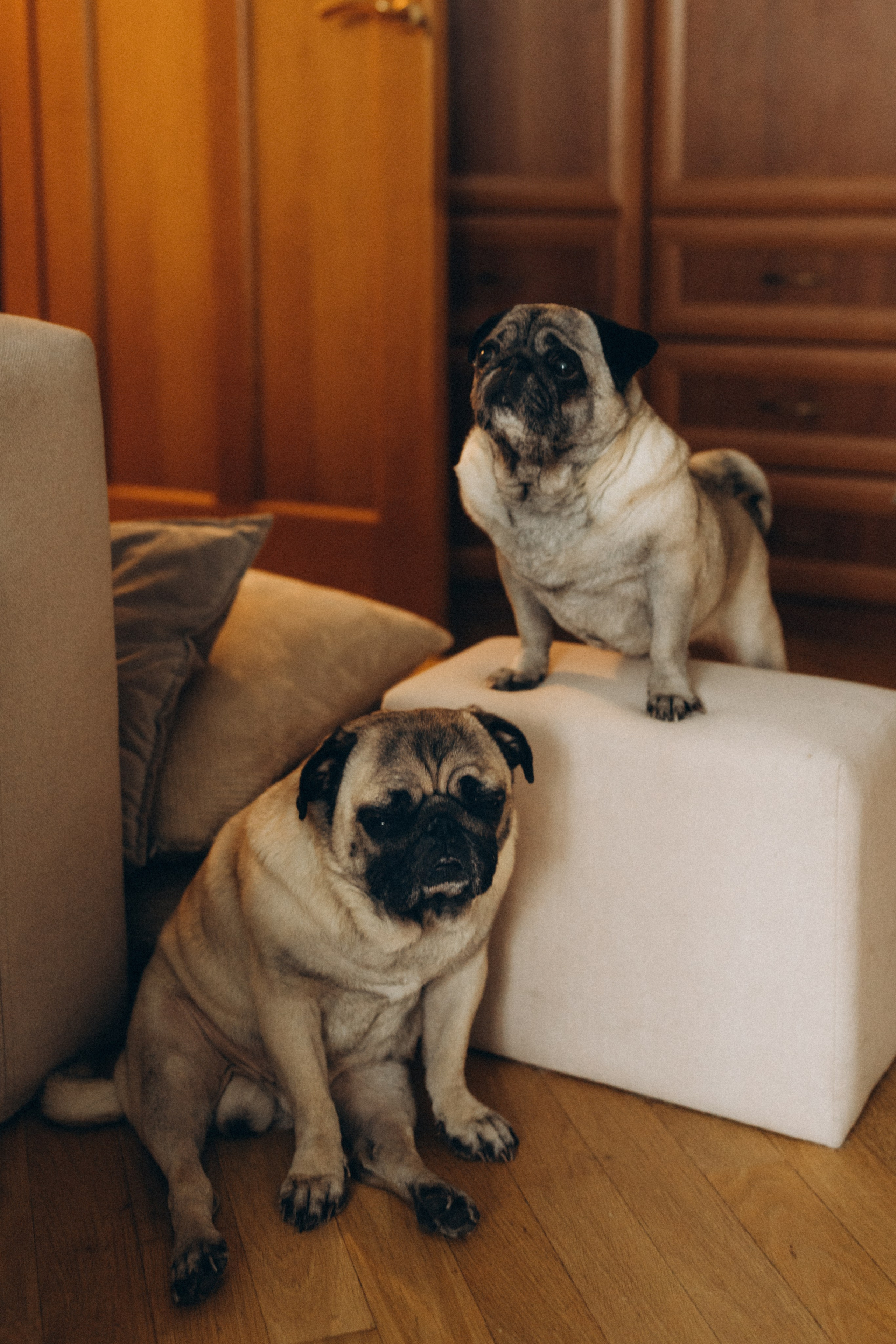 Уютная домашняя фотосессия Любы Димы Веры и Алины. Детский, семейный и ньюборн фотограф в Москве Юлия Шуарт