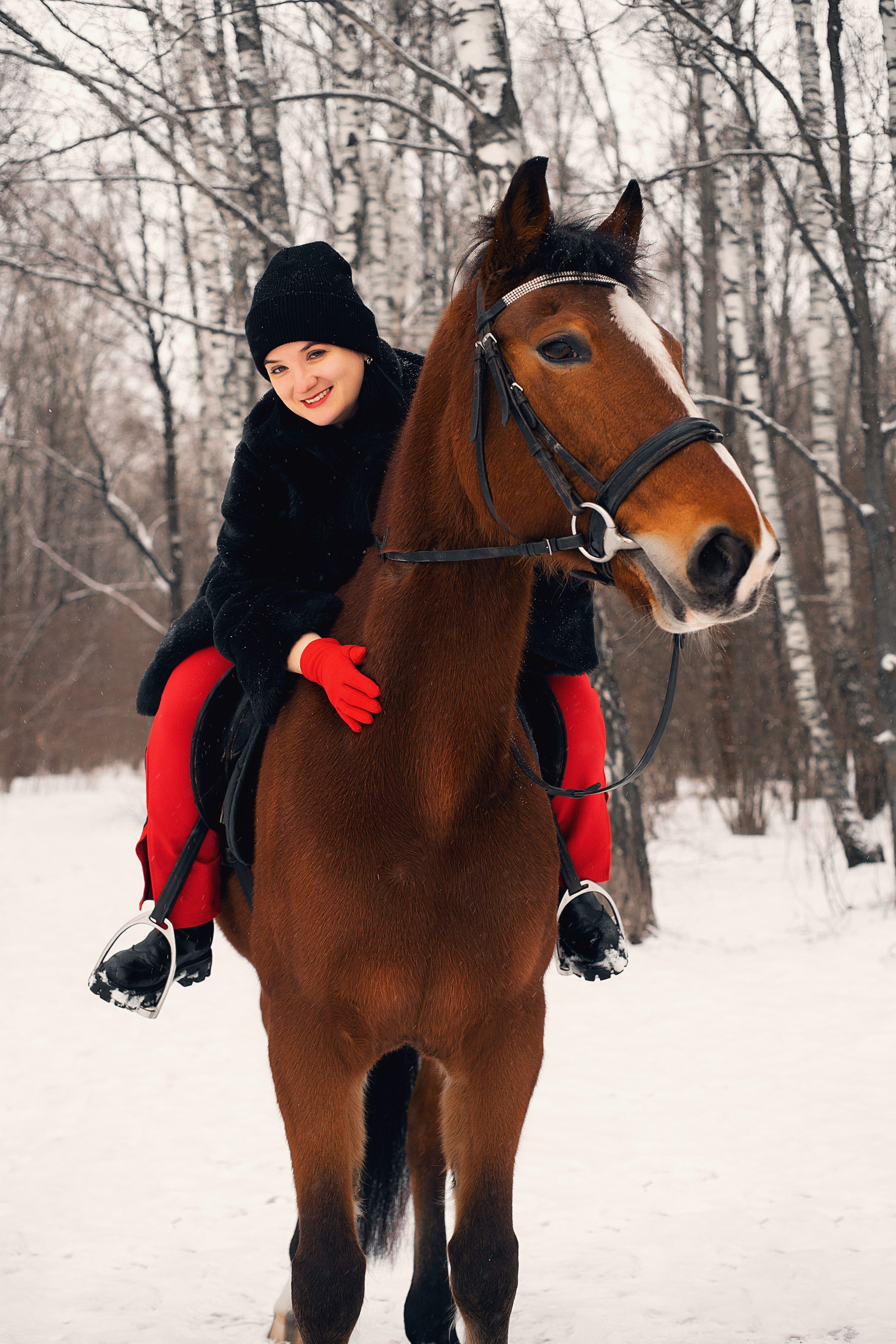 фото с лошадьми в Калуге