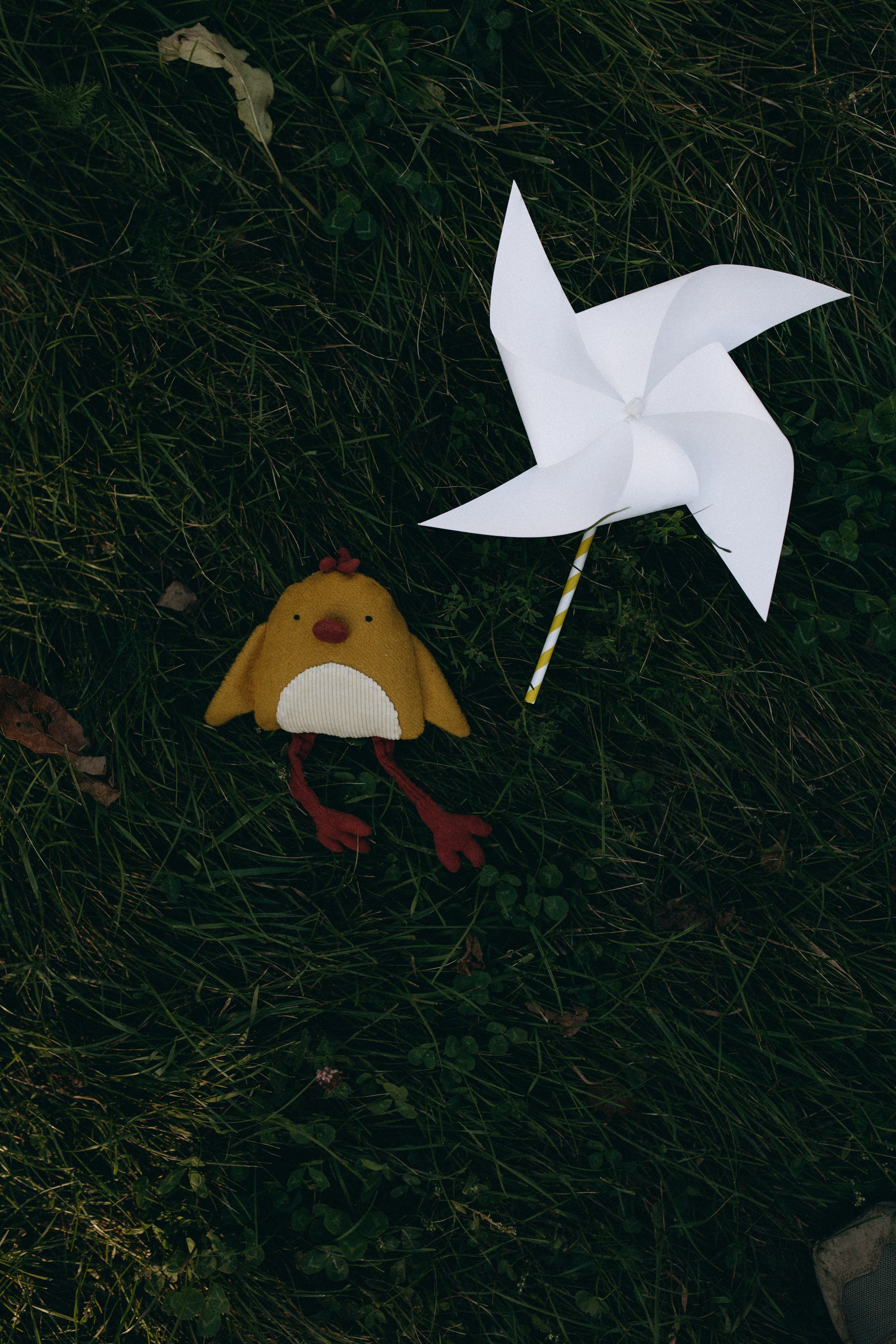 Экспресс съемка в парке. Семейный и детский фотограф в Рязани Екатерина Воронцова