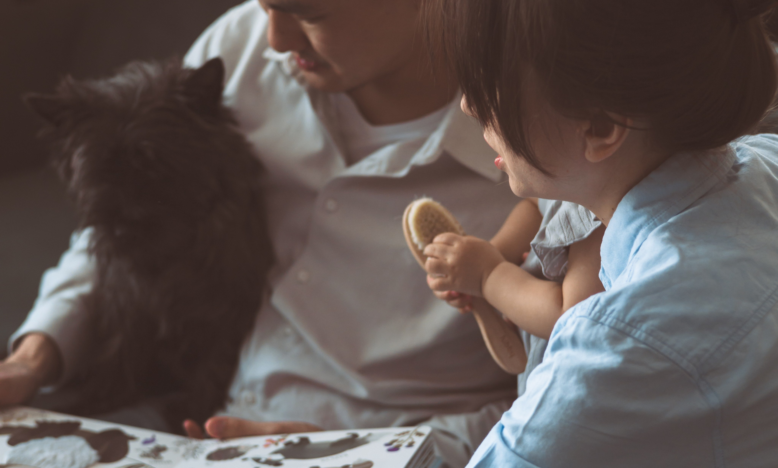 Домашняя съемка