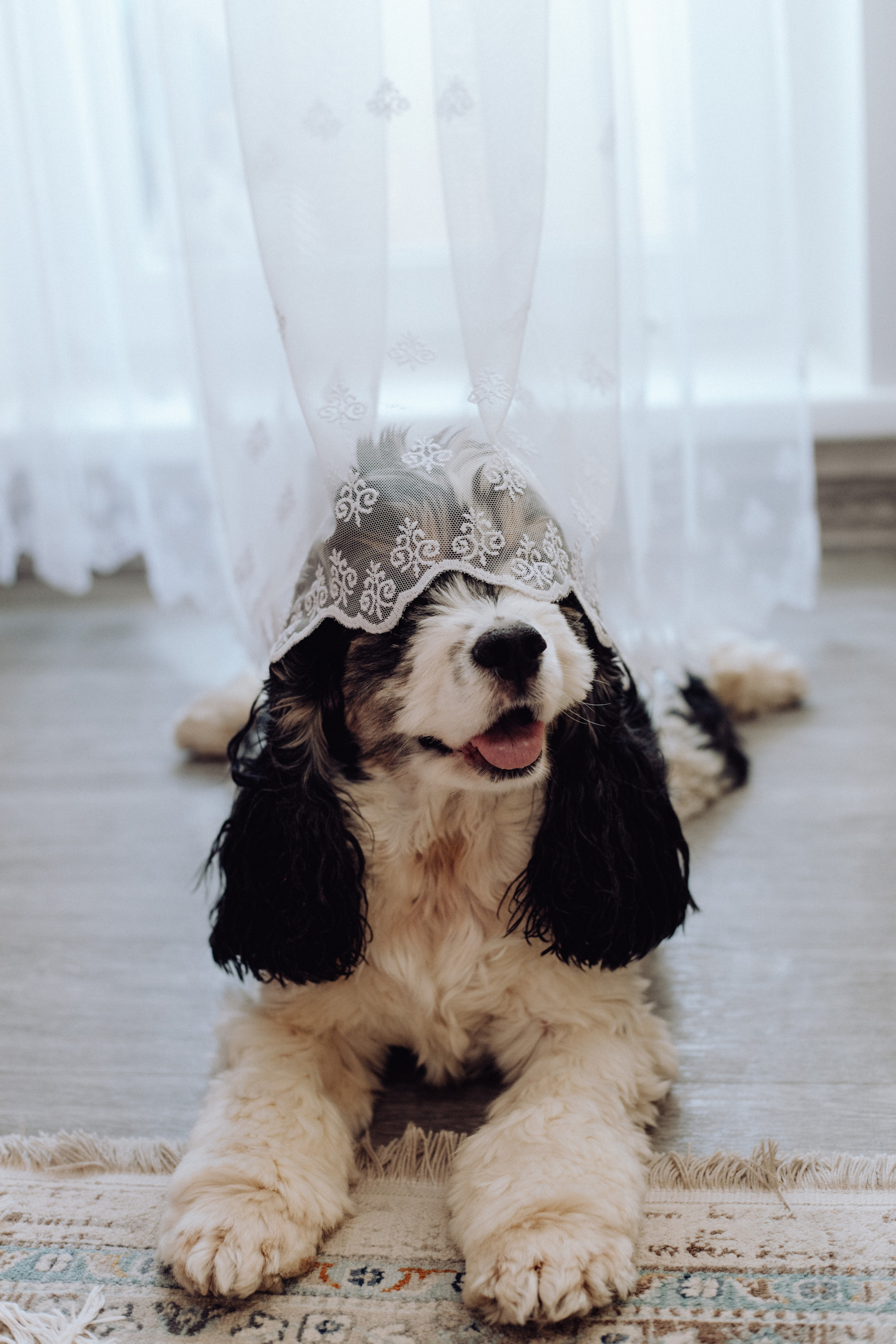 Новогодняя. Ваш фотограф в Красноярске Александра Кириллова