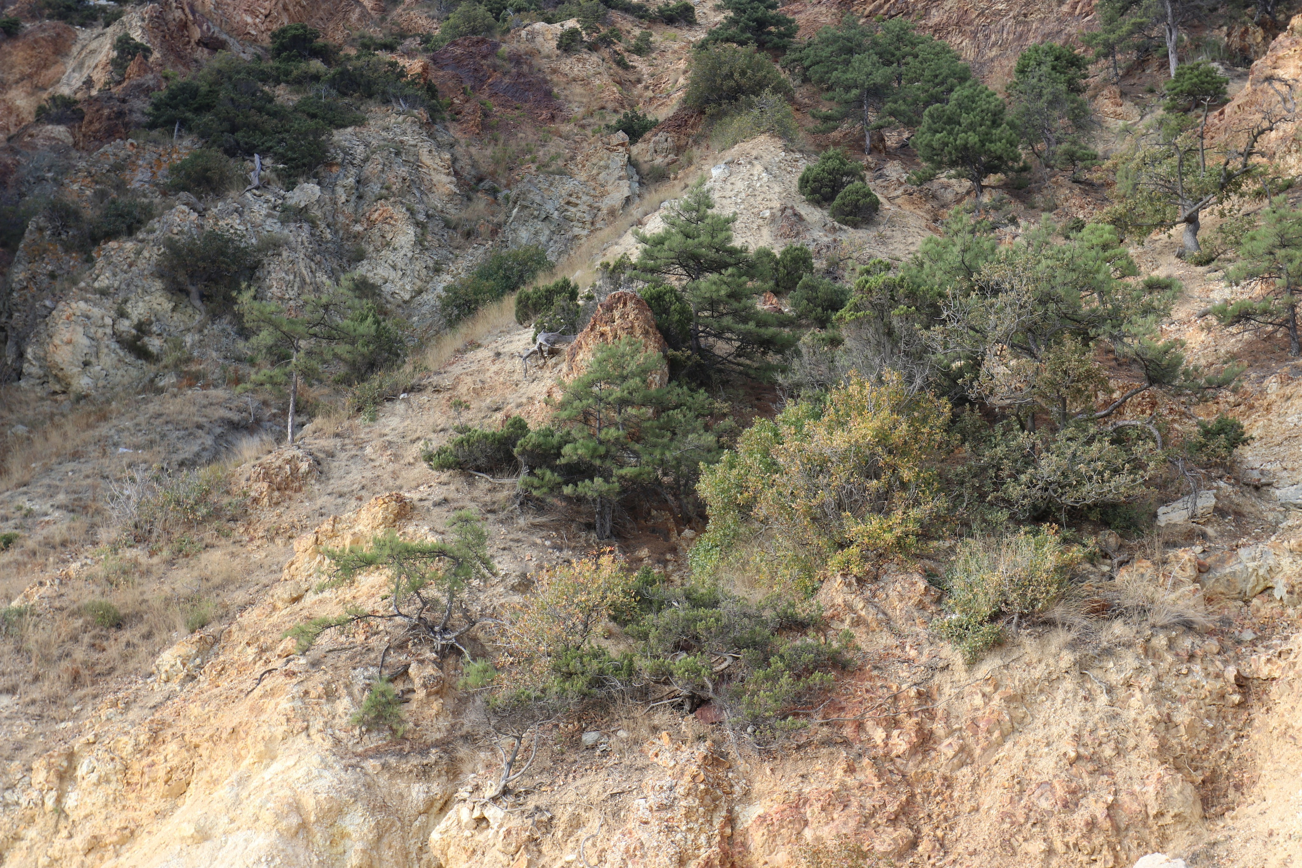 Крым. ЮБК (Фиолент, Ай-Петри, Роман-Кош). Знакомство. Октябрь 2017. Путешественник-фотограф из Санкт-Петербурга Татьяна Свистулина