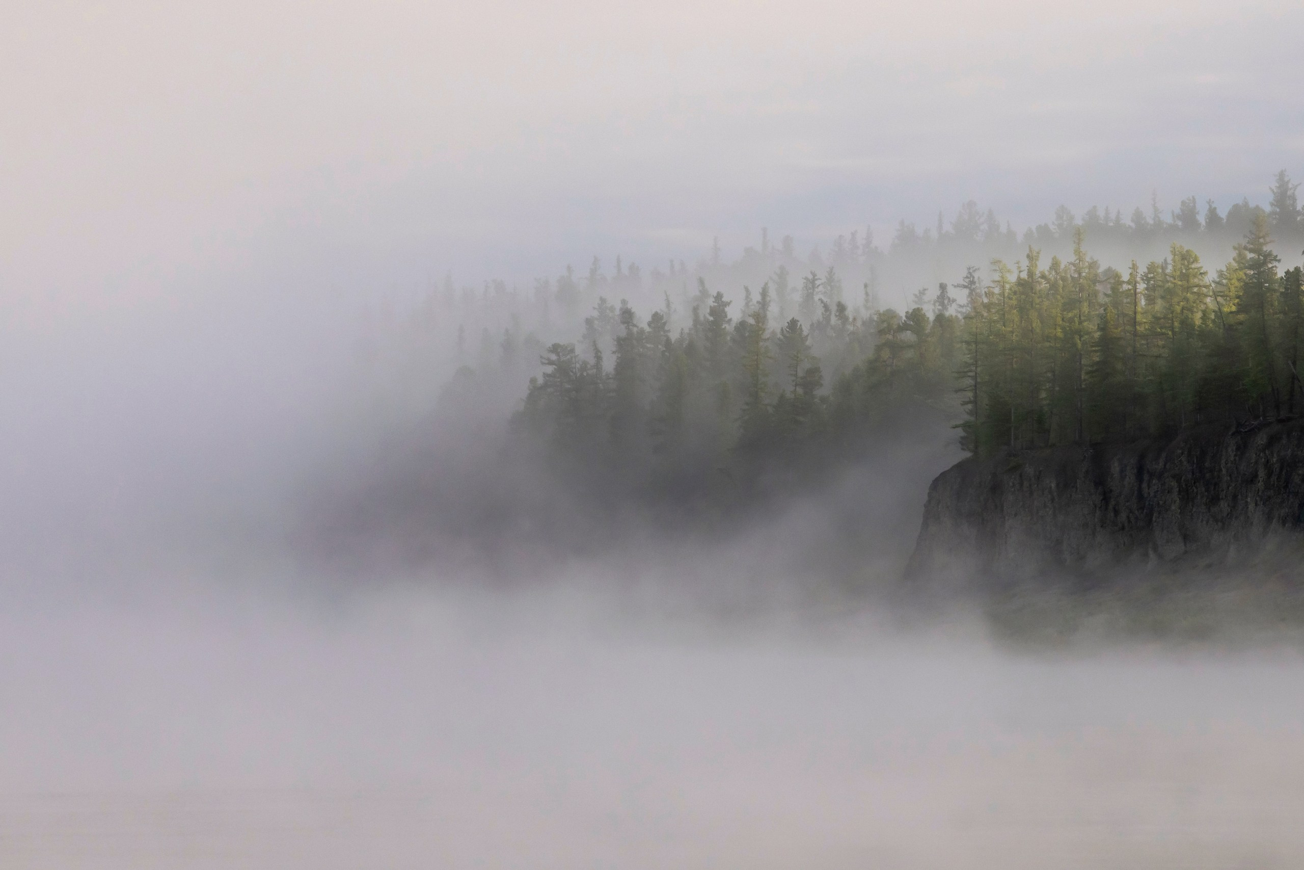 Пейзажный фотограф, Фотографии дикой природы. Foto-Zuev фотография как искусство