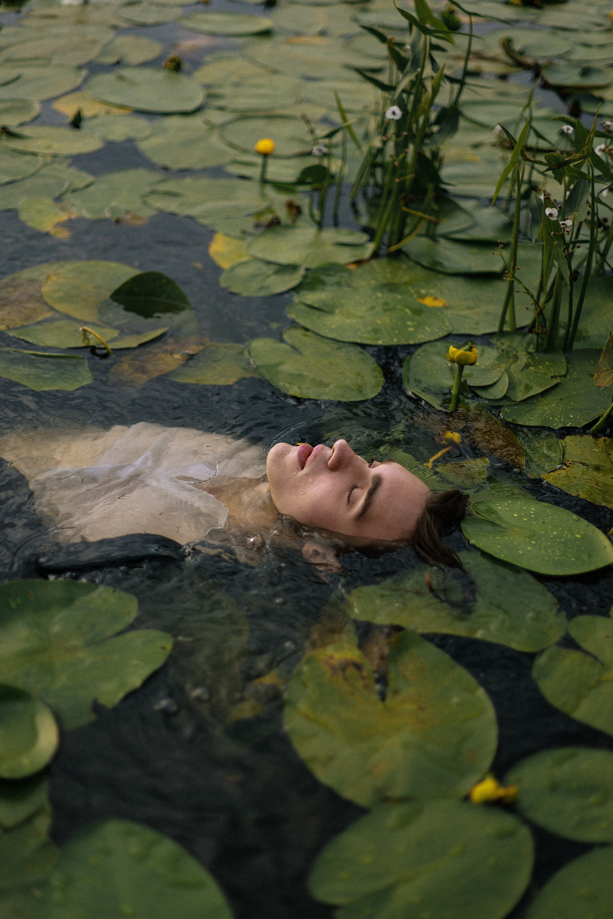 Влад. Фотограф & Видеомейкер в Москве