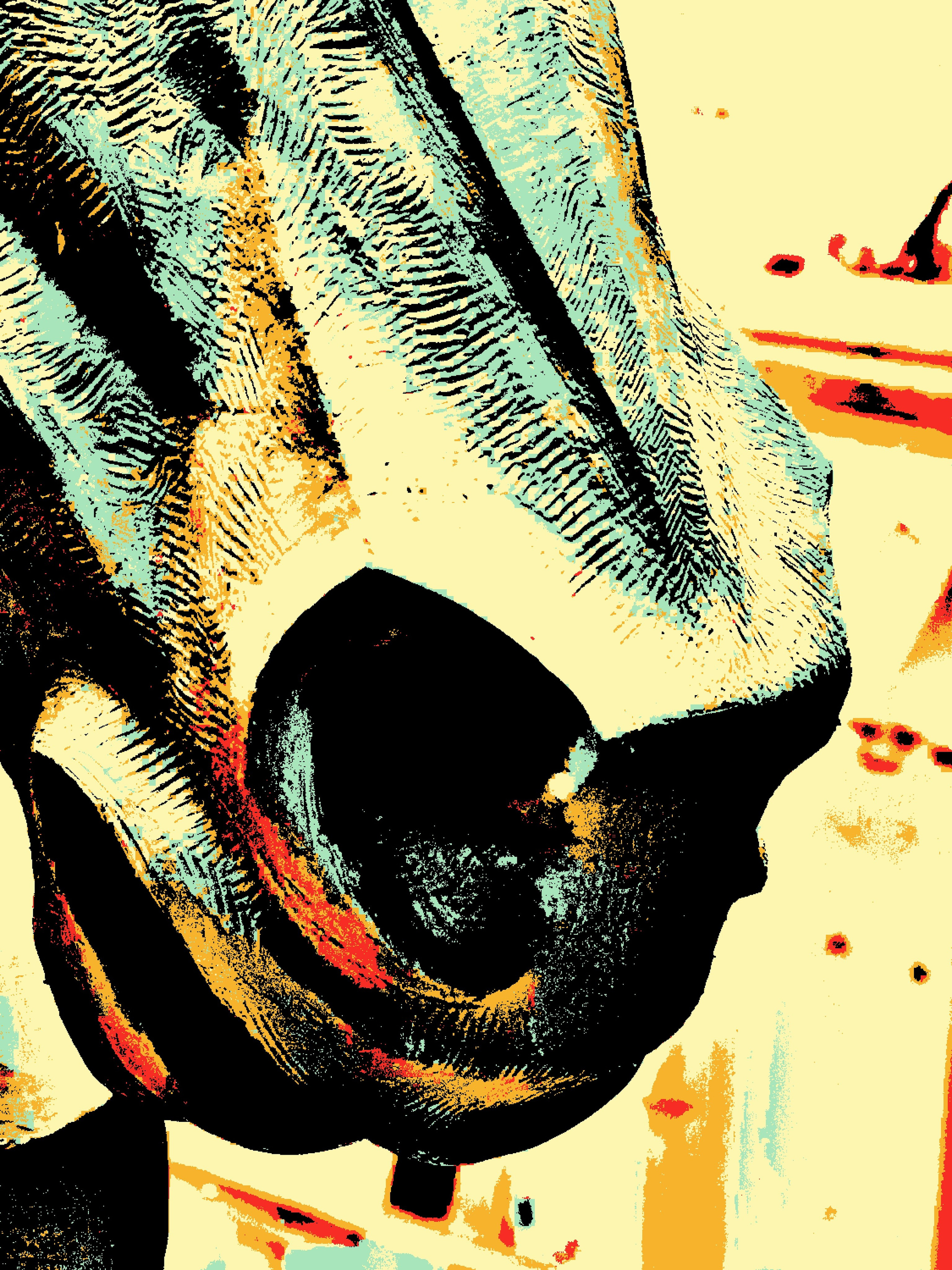 Ирина Палун. 视觉艺术像素艺术家瓦西尔像素