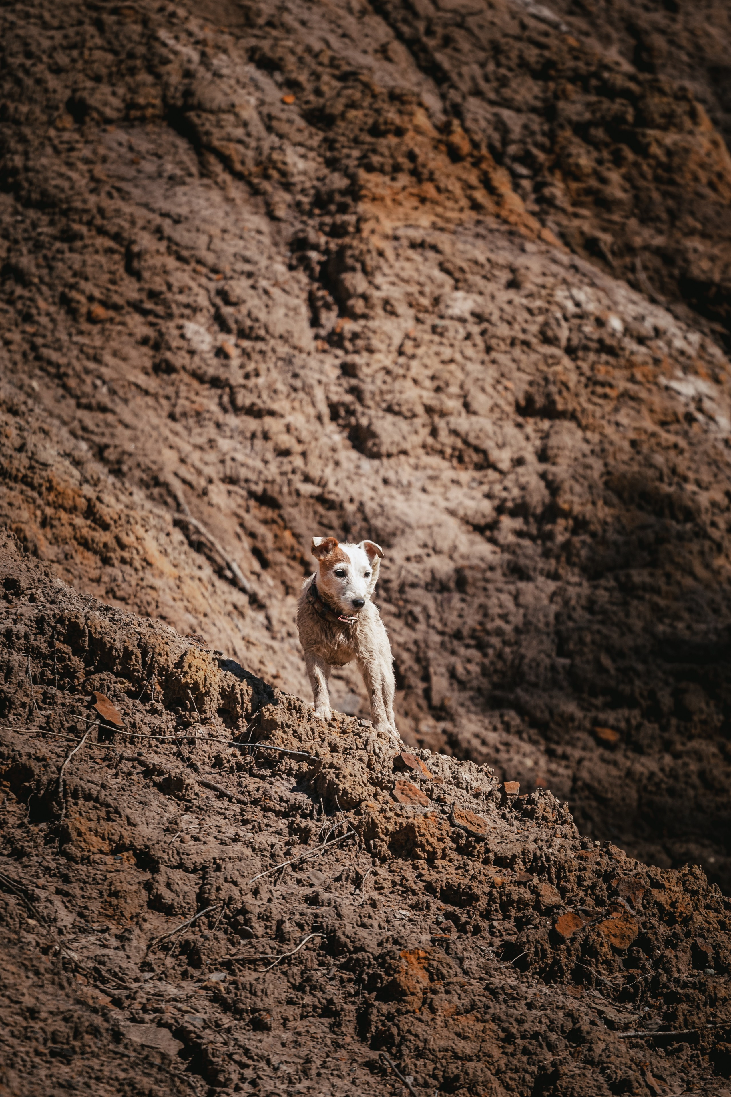 Кондуки. Фотограф-анималист Татьяна Степанова