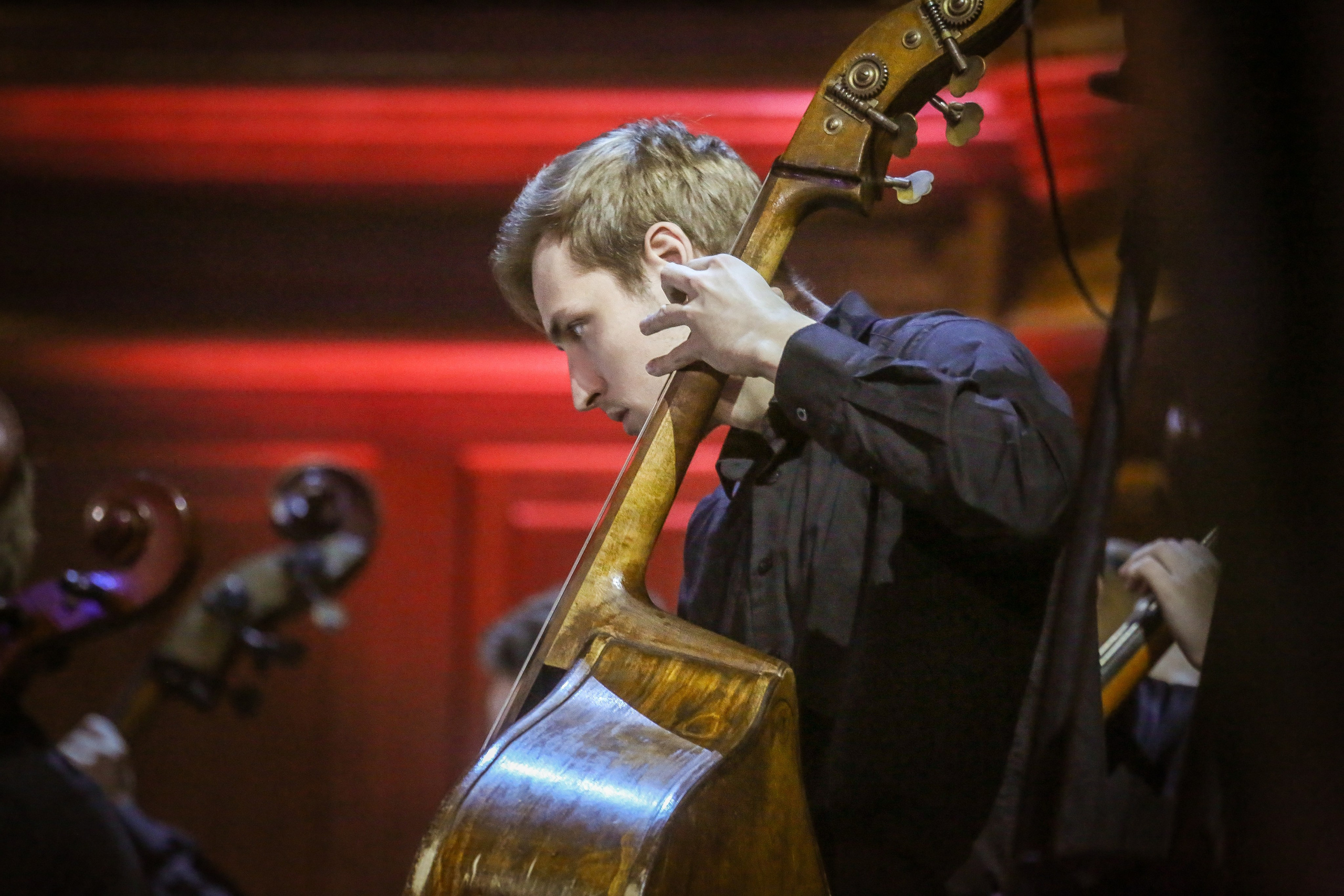 Башмет, Хабенский и оркестр будущего. Дарья Письменюк / Darya Leitstern — фотограф, музыкант, журналист, путешественник